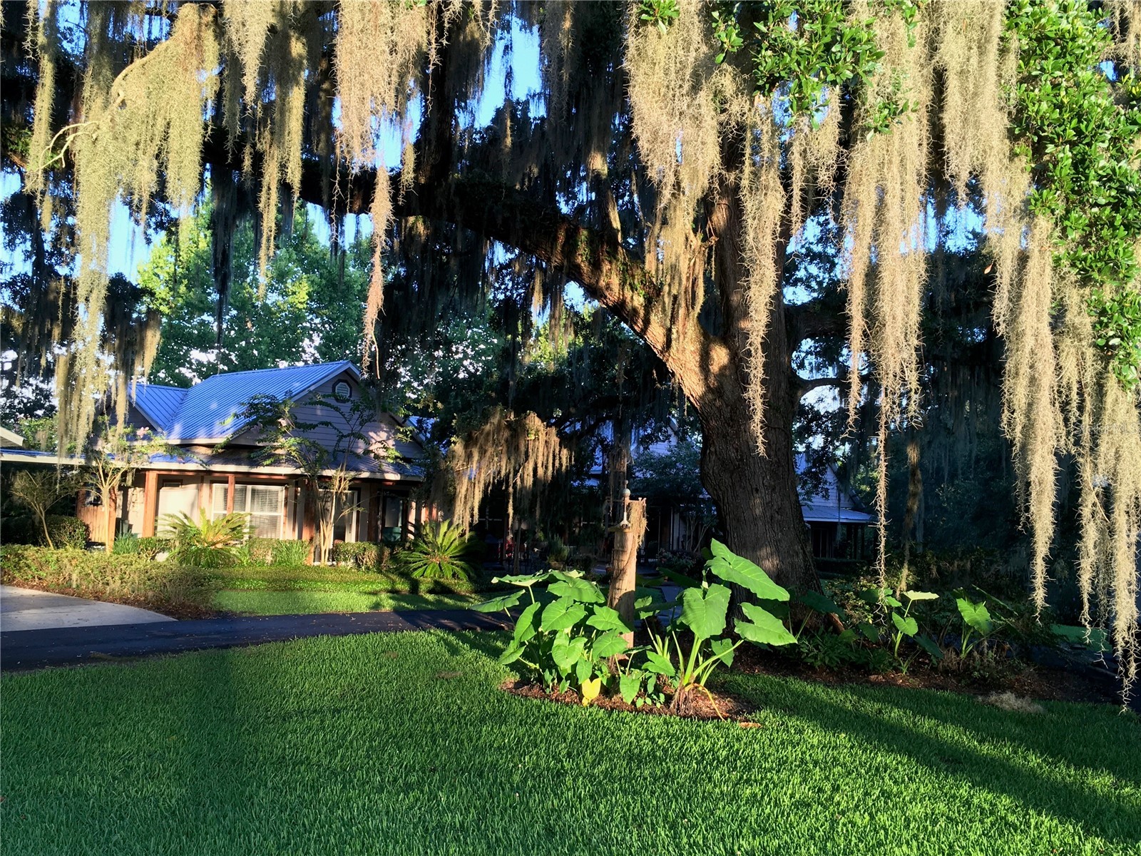 15000 W Hwy 318 Williston FL 32696 OM716965 image71