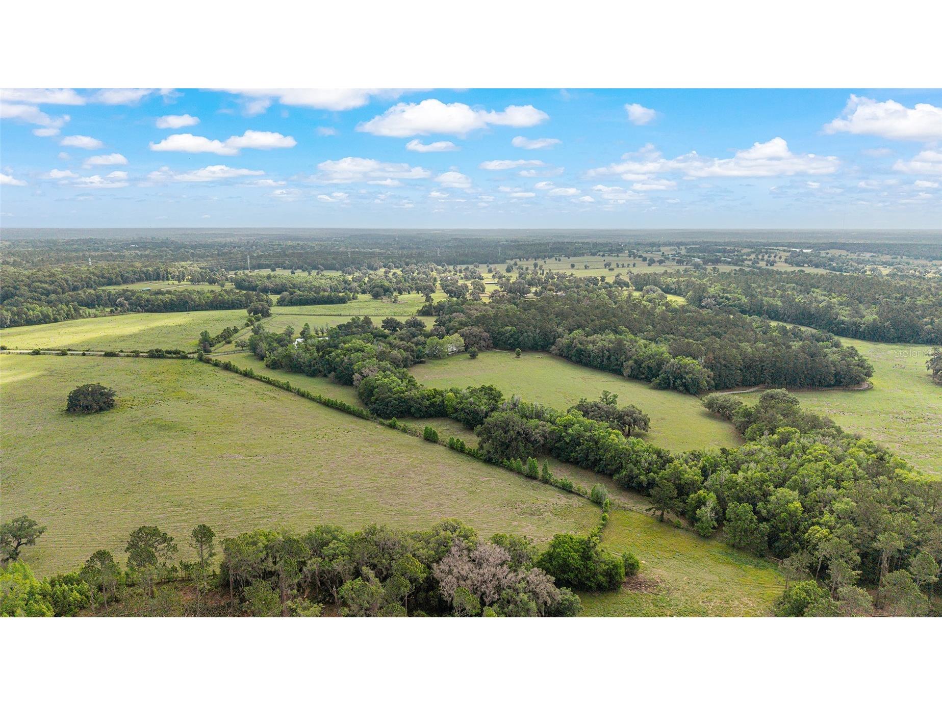 15000 W Hwy 318 Williston FL 32696 OM716965 image77