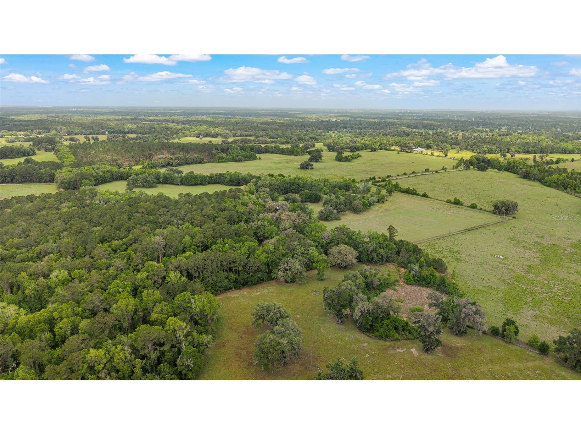 15000 W Hwy 318 Williston FL 32696 OM716965 image80