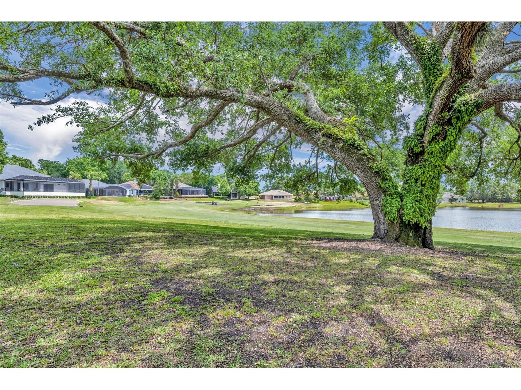 15001 Green Valley Boulevard Clermont FL 34711 G5107732 image56