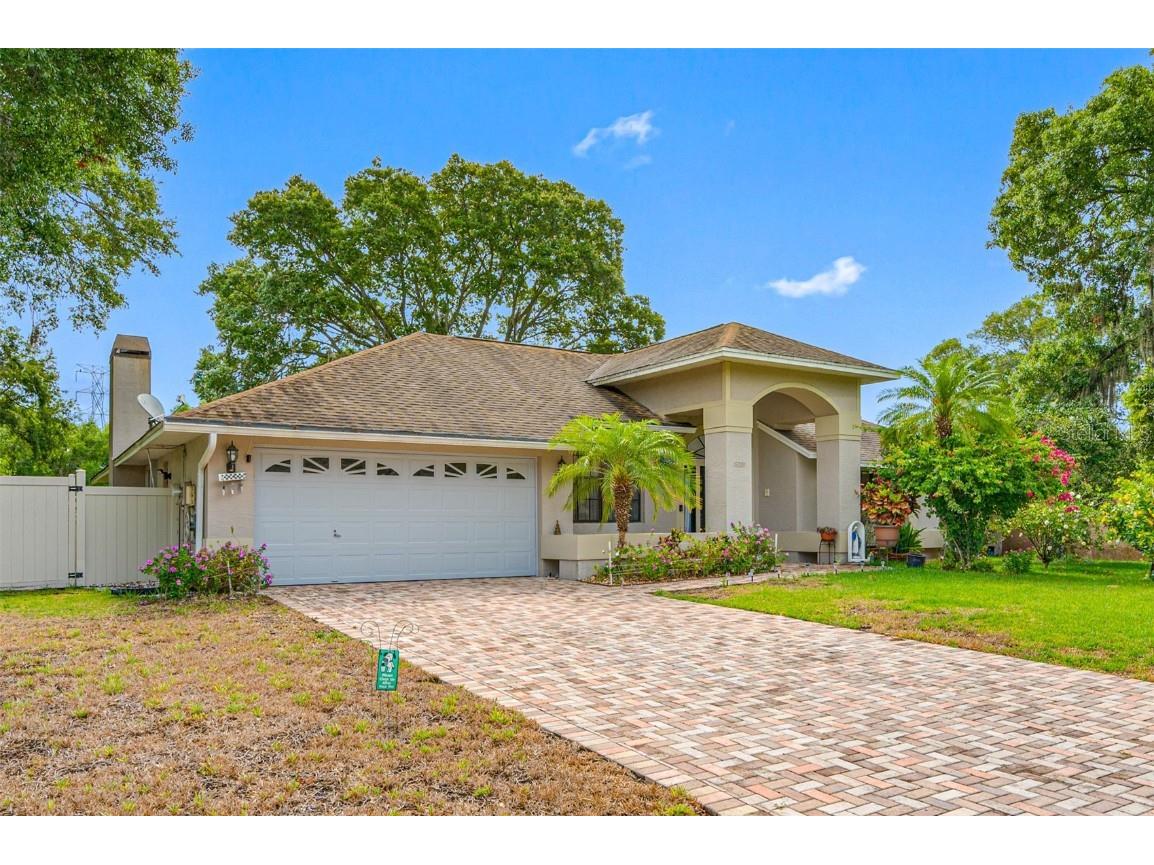 15001 Maurine Cove Lane Odessa FL 33556 T3527742 image1