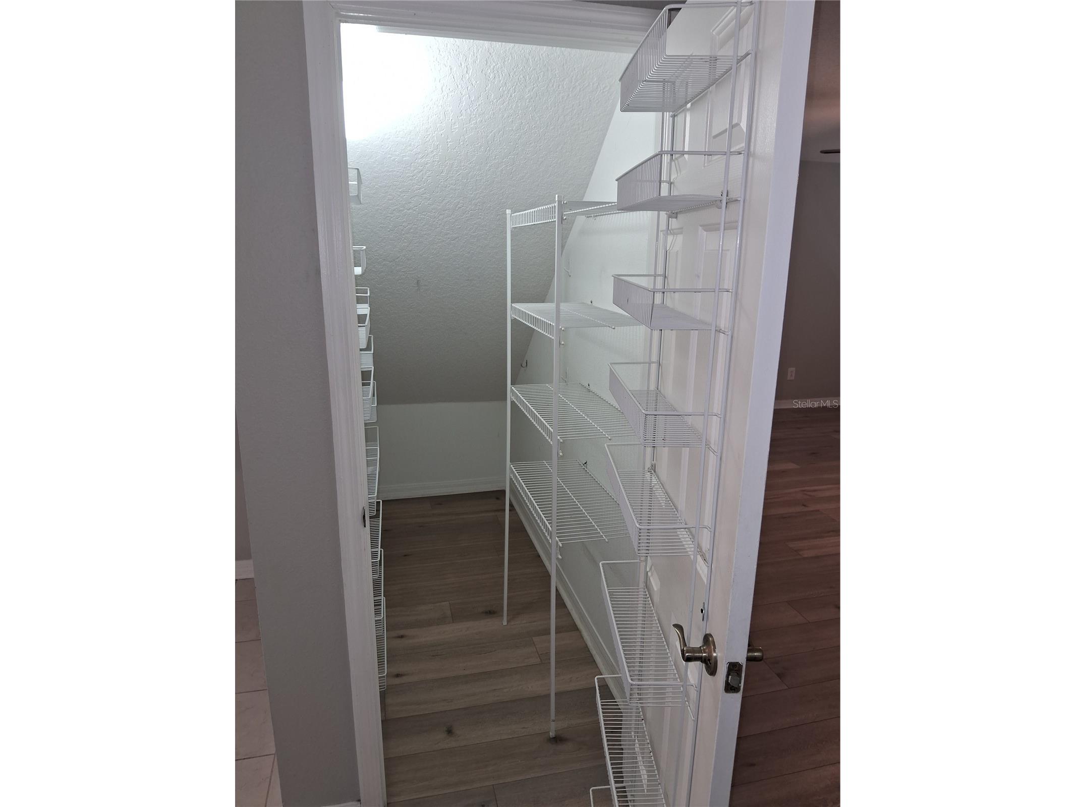 15003 Deer Meadow Drive Lutz FL 33559 TB8456684 image10