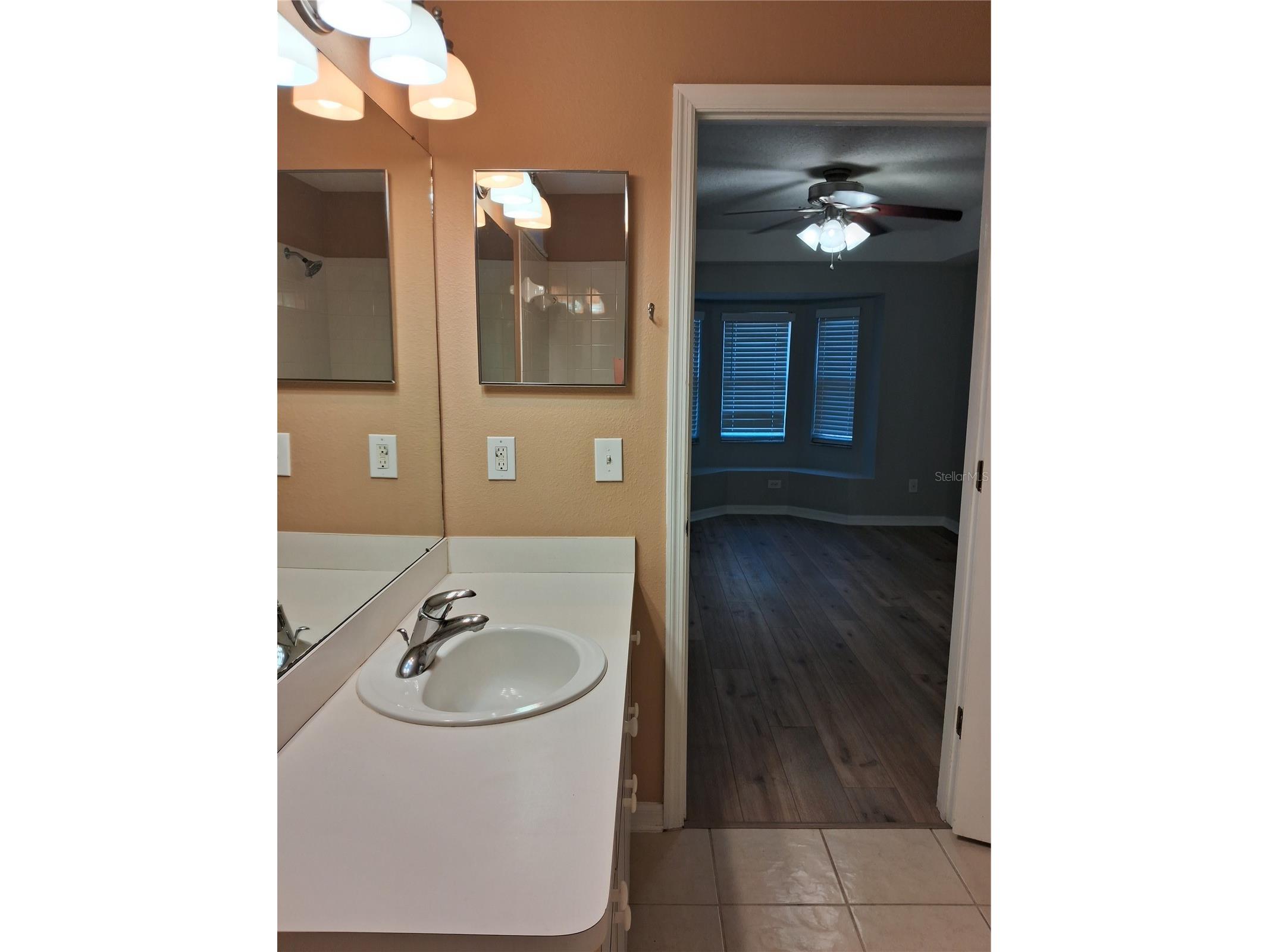 15003 Deer Meadow Drive Lutz FL 33559 TB8456684 image14