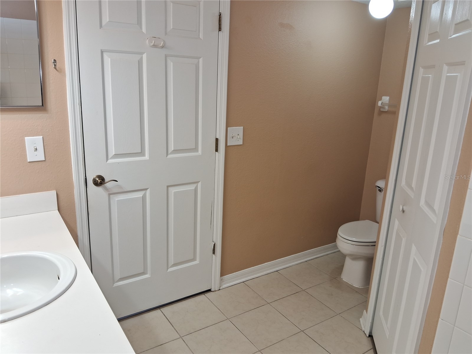 15003 Deer Meadow Drive Lutz FL 33559 TB8456684 image36