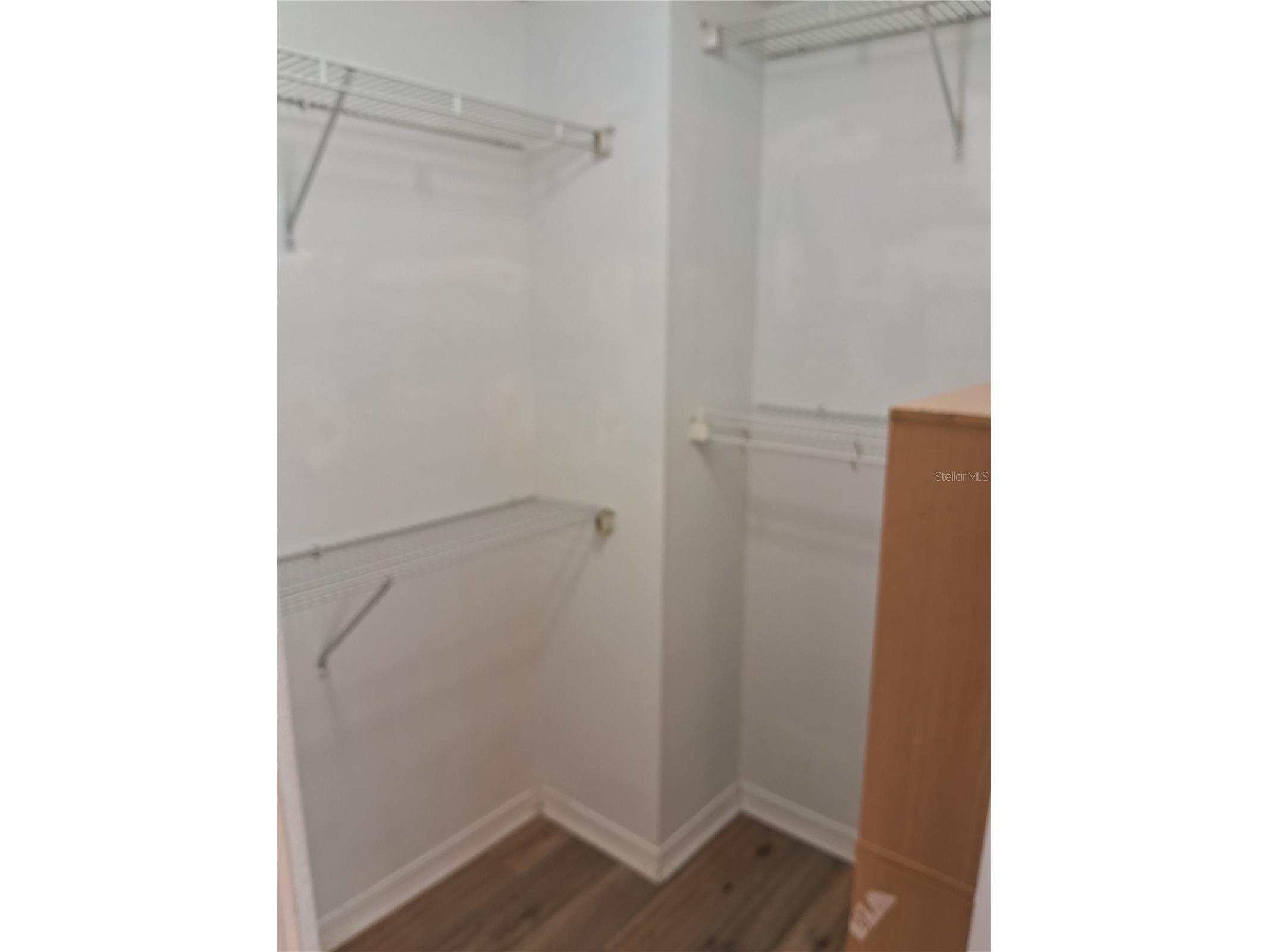15003 Deer Meadow Drive Lutz FL 33559 TB8456684 image37