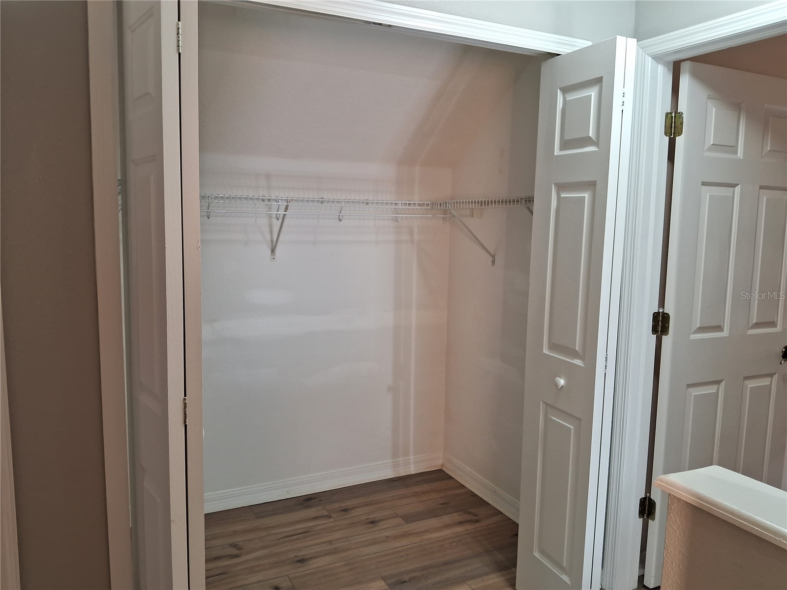 15003 Deer Meadow Drive Lutz FL 33559 TB8456684 image40
