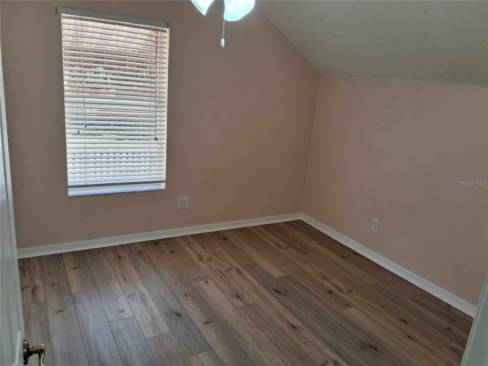15003 Deer Meadow Drive Lutz FL 33559 TB8456684 image42