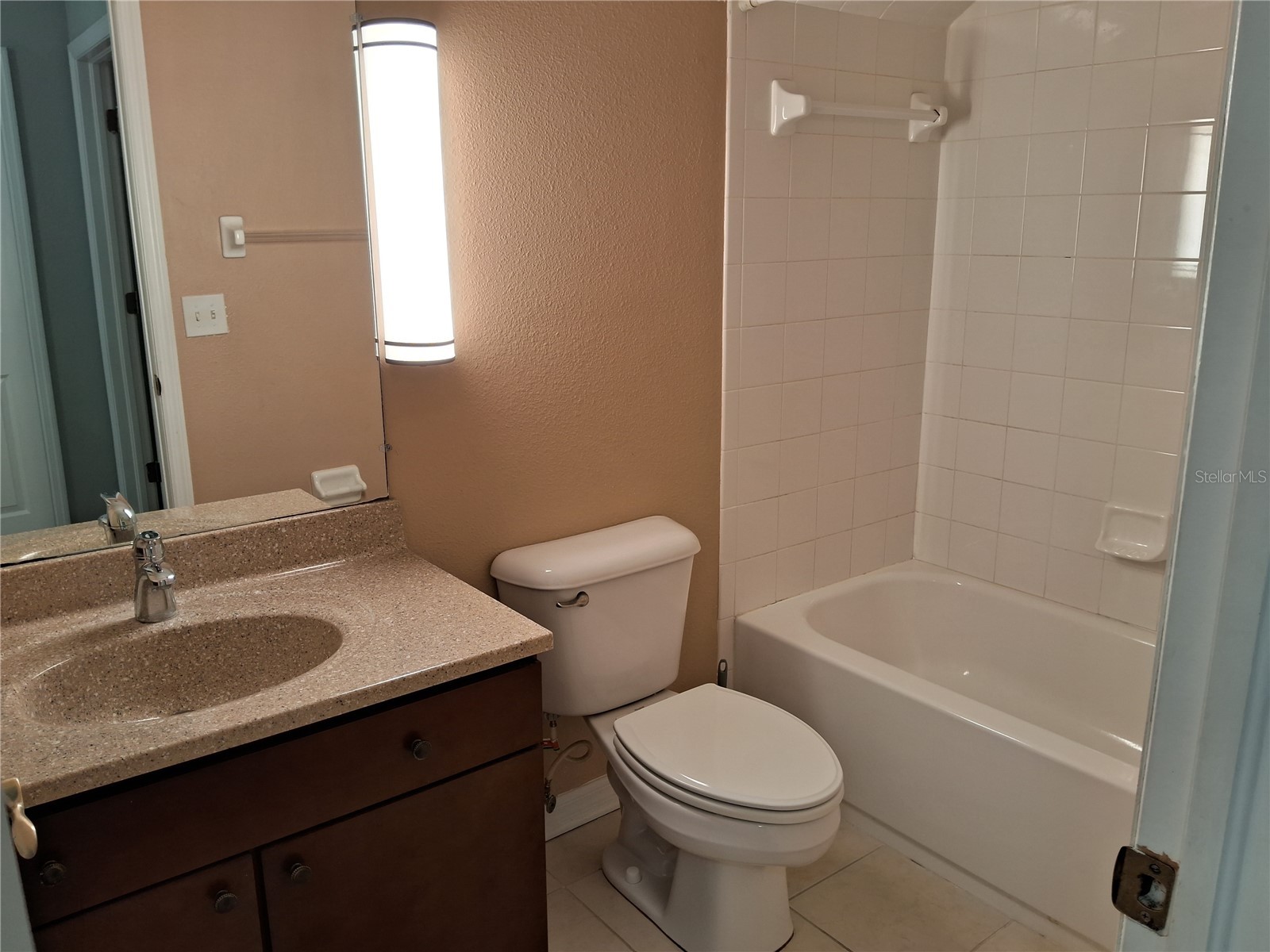 15003 Deer Meadow Drive Lutz FL 33559 TB8456684 image44