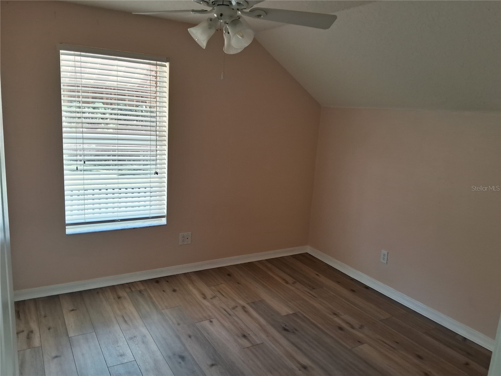 15003 Deer Meadow Drive Lutz FL 33559 TB8456684 image46