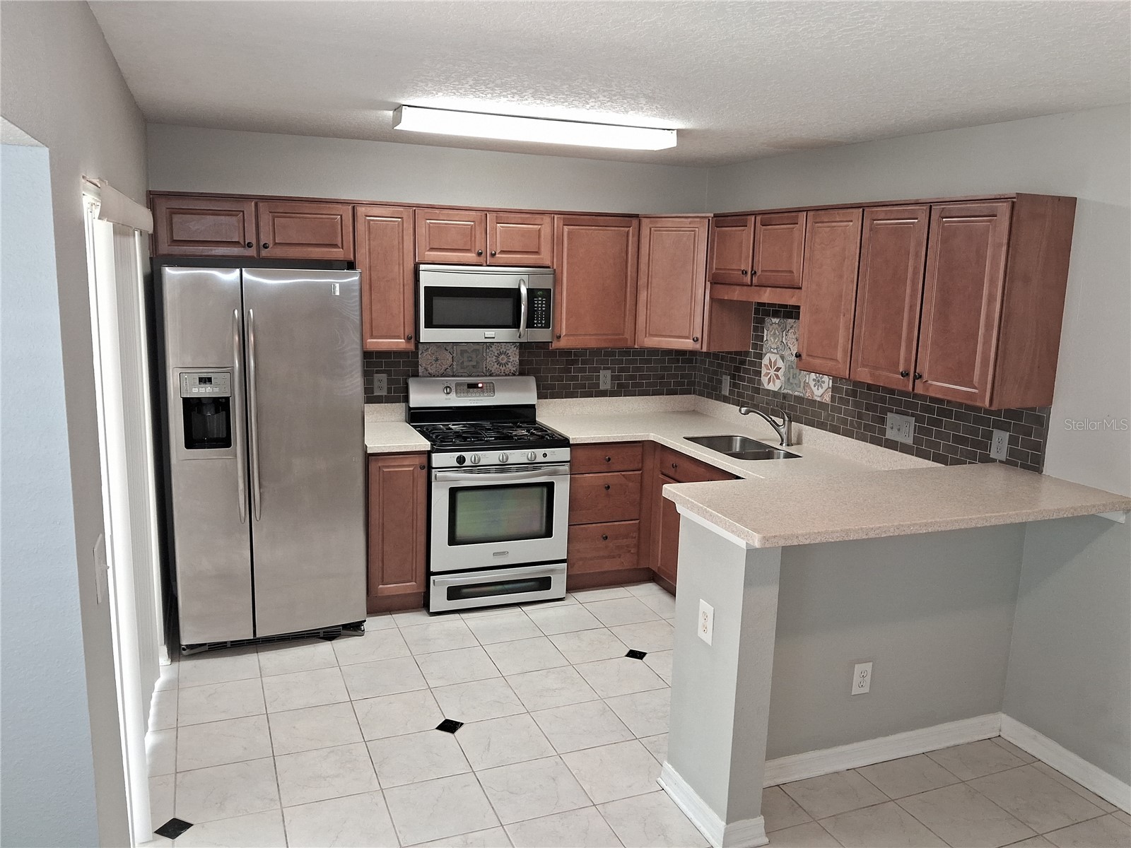 15003 Deer Meadow Drive Lutz FL 33559 TB8456684 image8