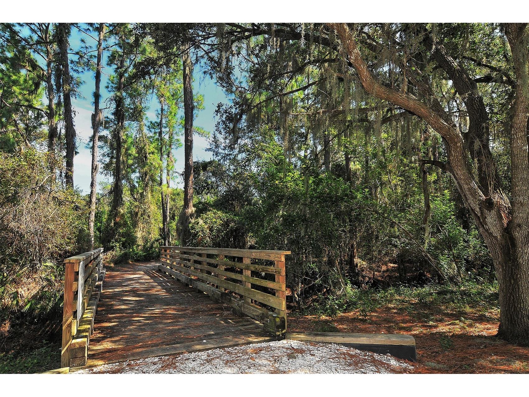 15005 Bowfin Terrace Lakewood Ranch FL 34202 A4686591 image43