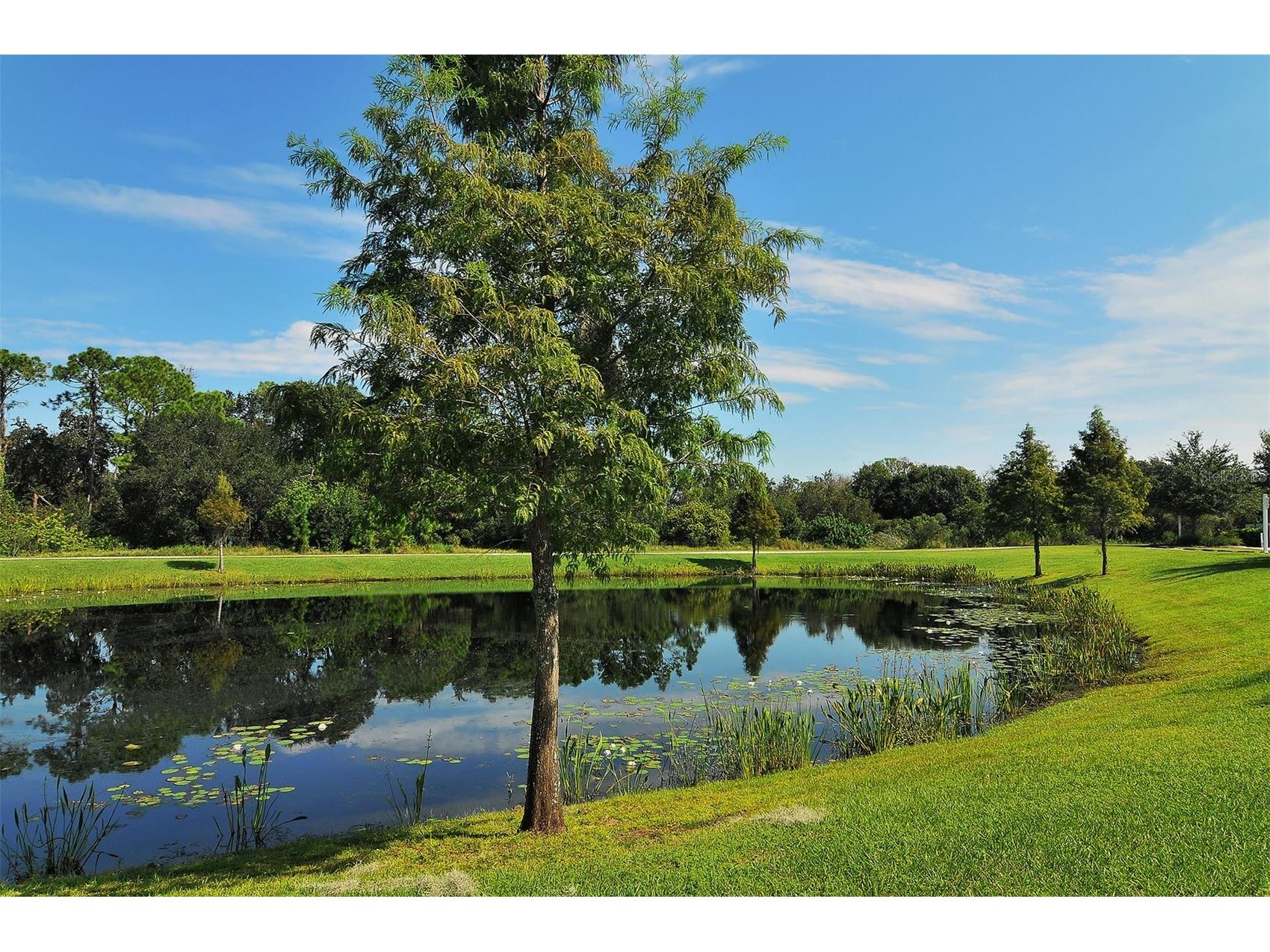 15005 Bowfin Terrace Lakewood Ranch FL 34202 A4686591 image44