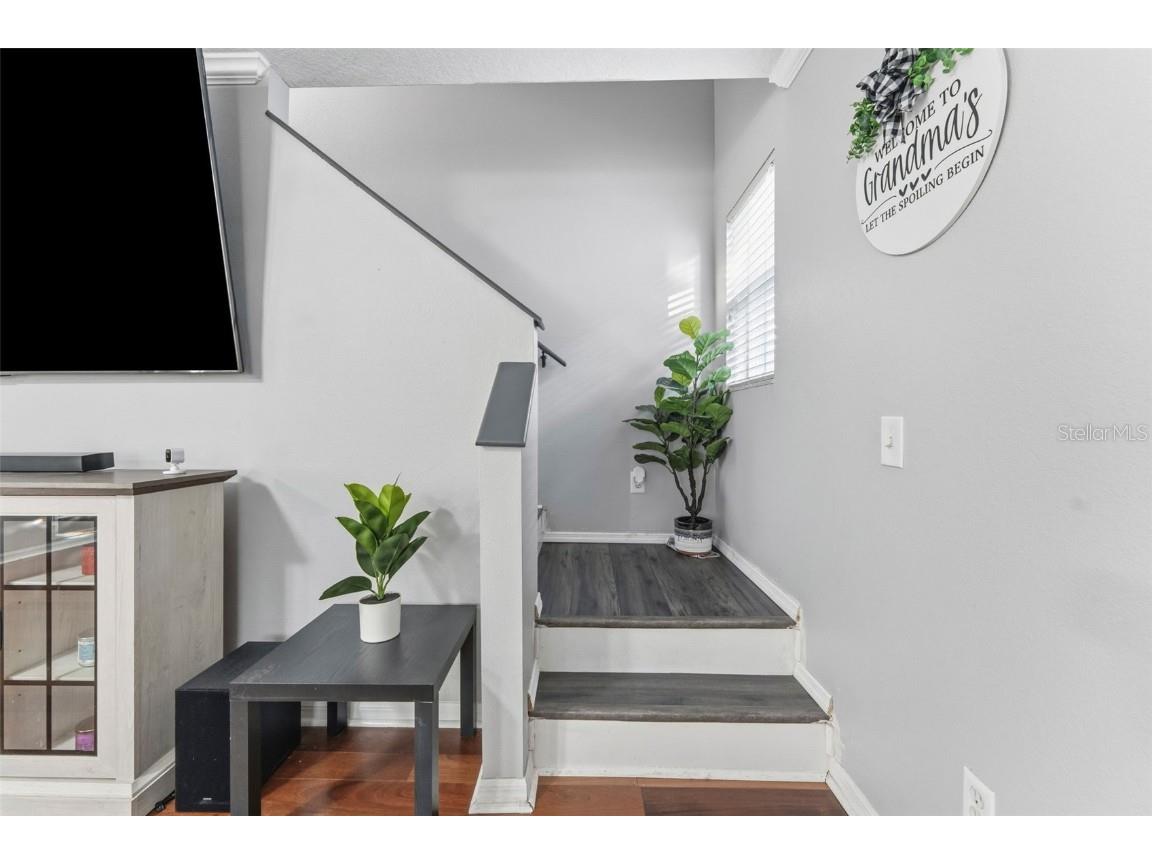 15005 Deer Meadow Drive Lutz FL 33559 TB8455118 image16