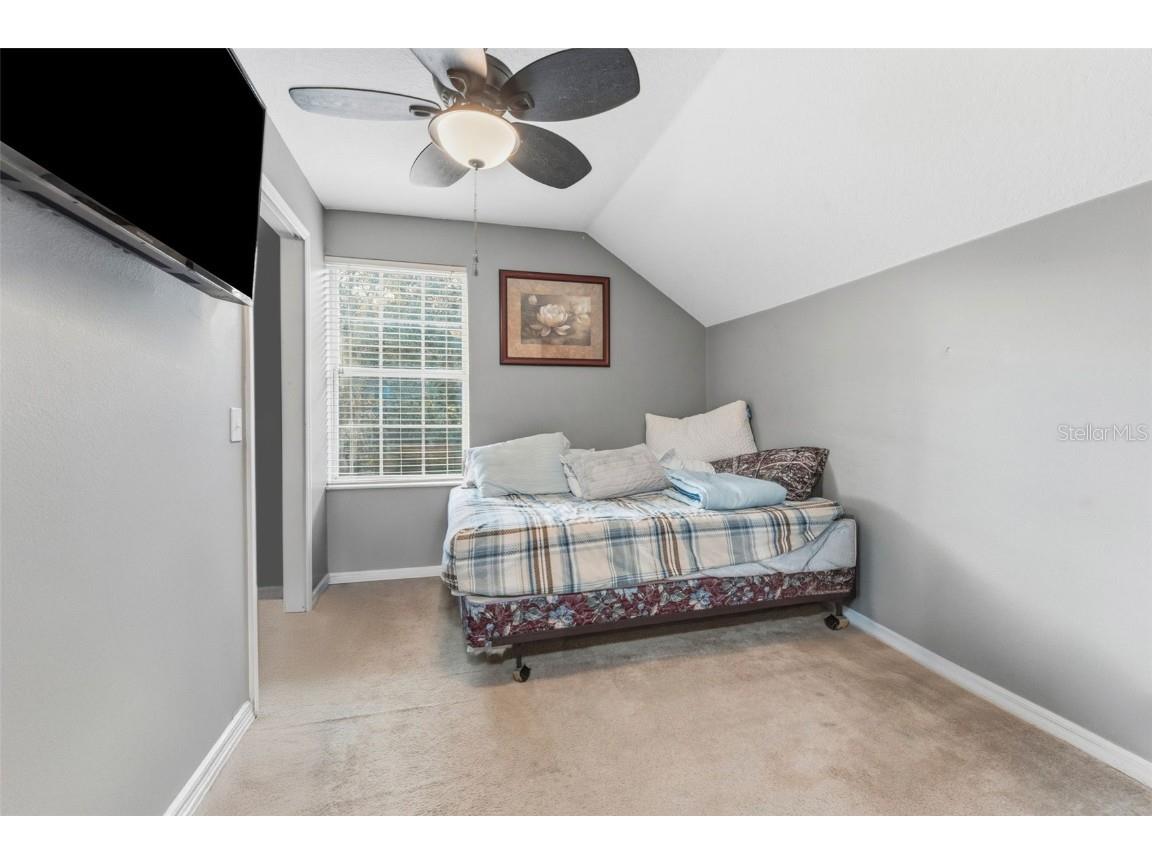 15005 Deer Meadow Drive Lutz FL 33559 TB8455118 image20