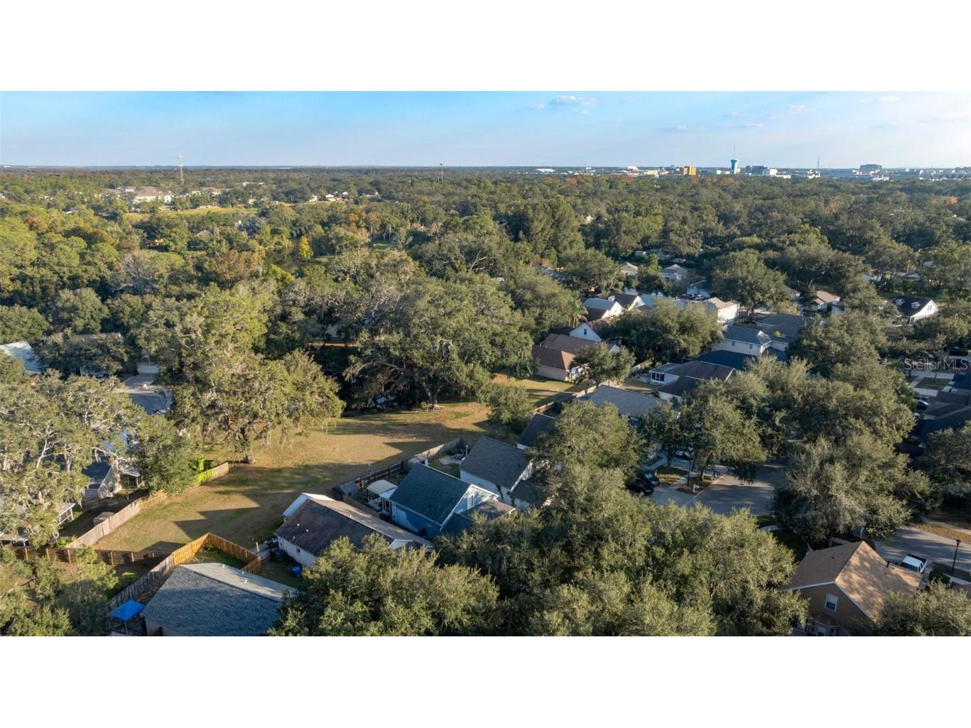 15005 Deer Meadow Drive Lutz FL 33559 TB8455118 image28