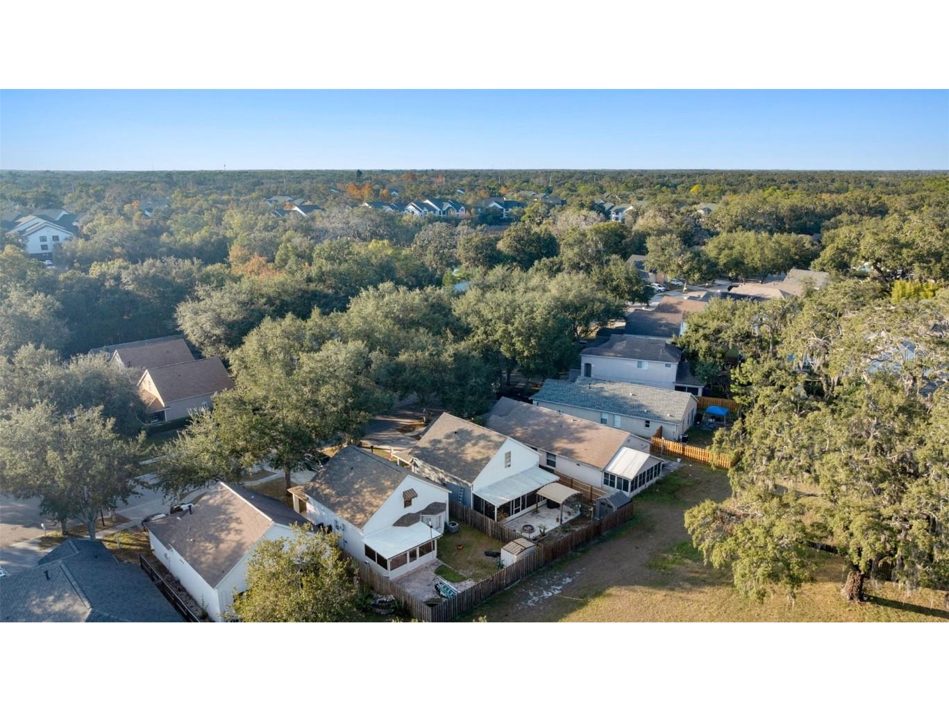 15005 Deer Meadow Drive Lutz FL 33559 TB8455118 image29