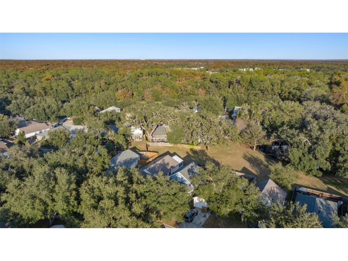 15005 Deer Meadow Drive Lutz FL 33559 TB8455118 image30