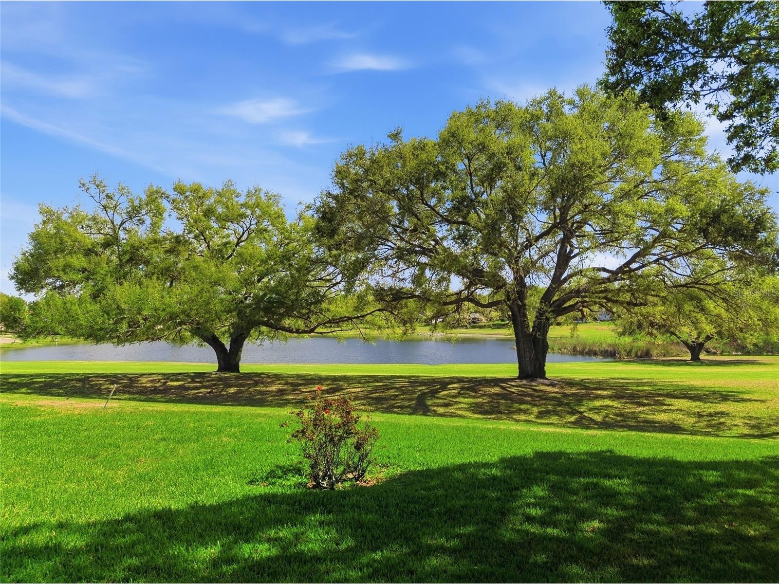 15005 Green Valley Boulevard Clermont FL 34711 G5109371 image3