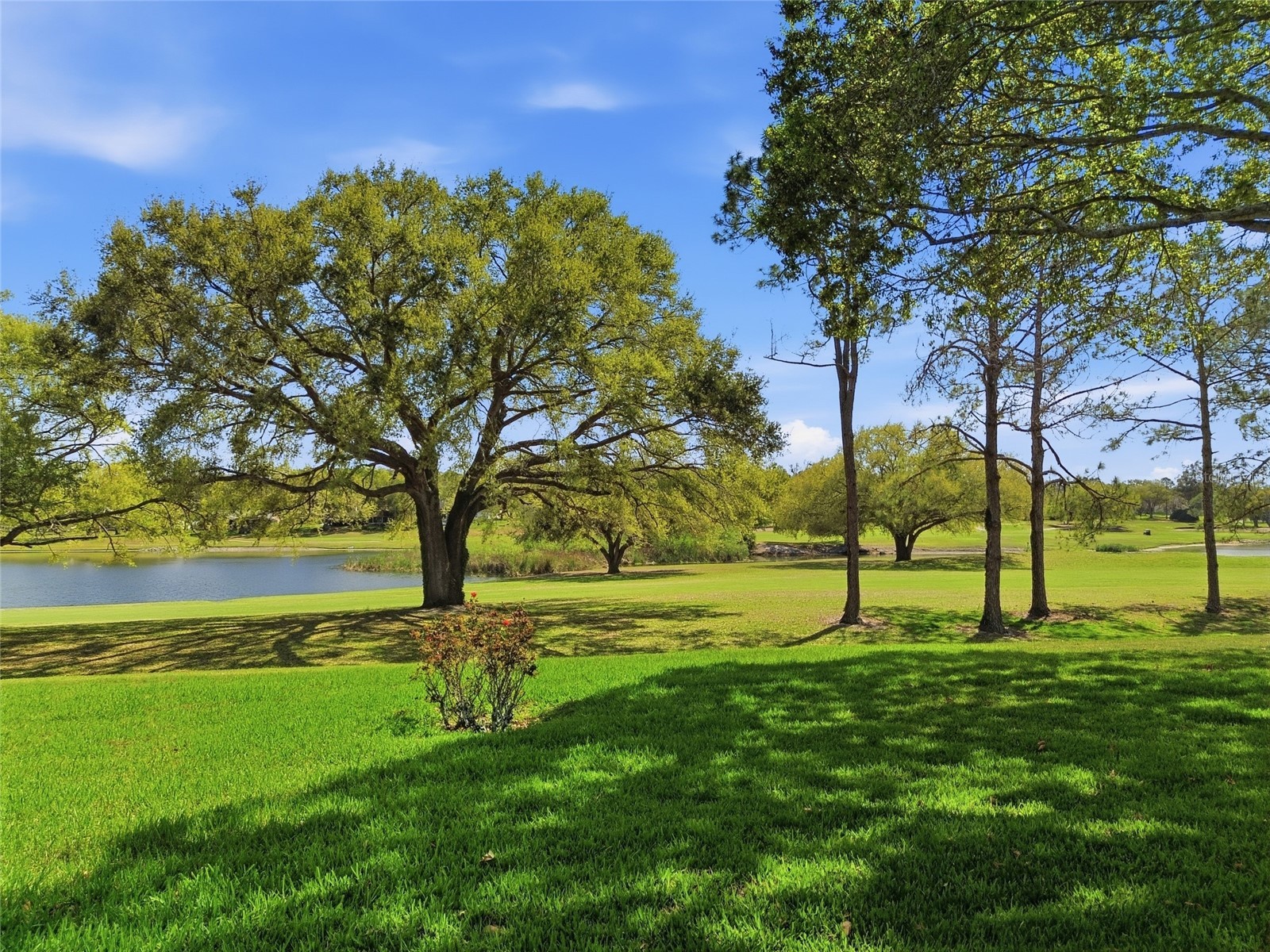 15005 Green Valley Boulevard Clermont FL 34711 G5109371 image40