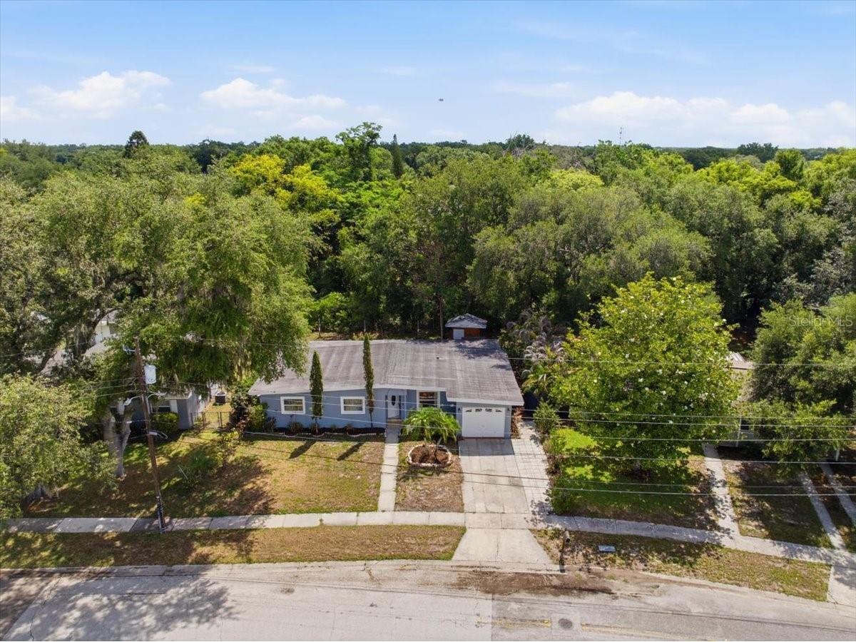 15005 Monet Drive Tampa FL 33613 TB8512114 image38