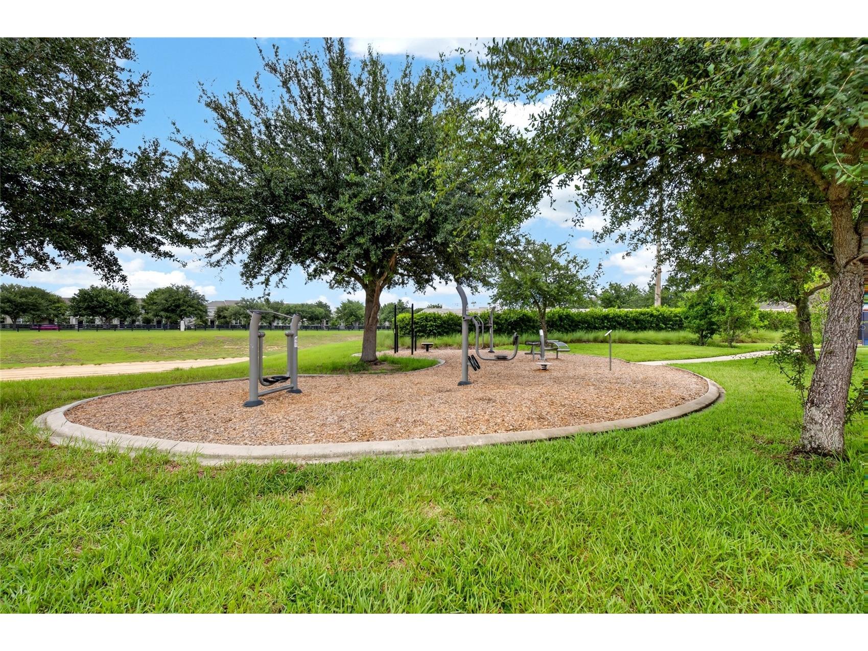 15006 Chapter Way Winter Garden FL 34787 O6422762 image43