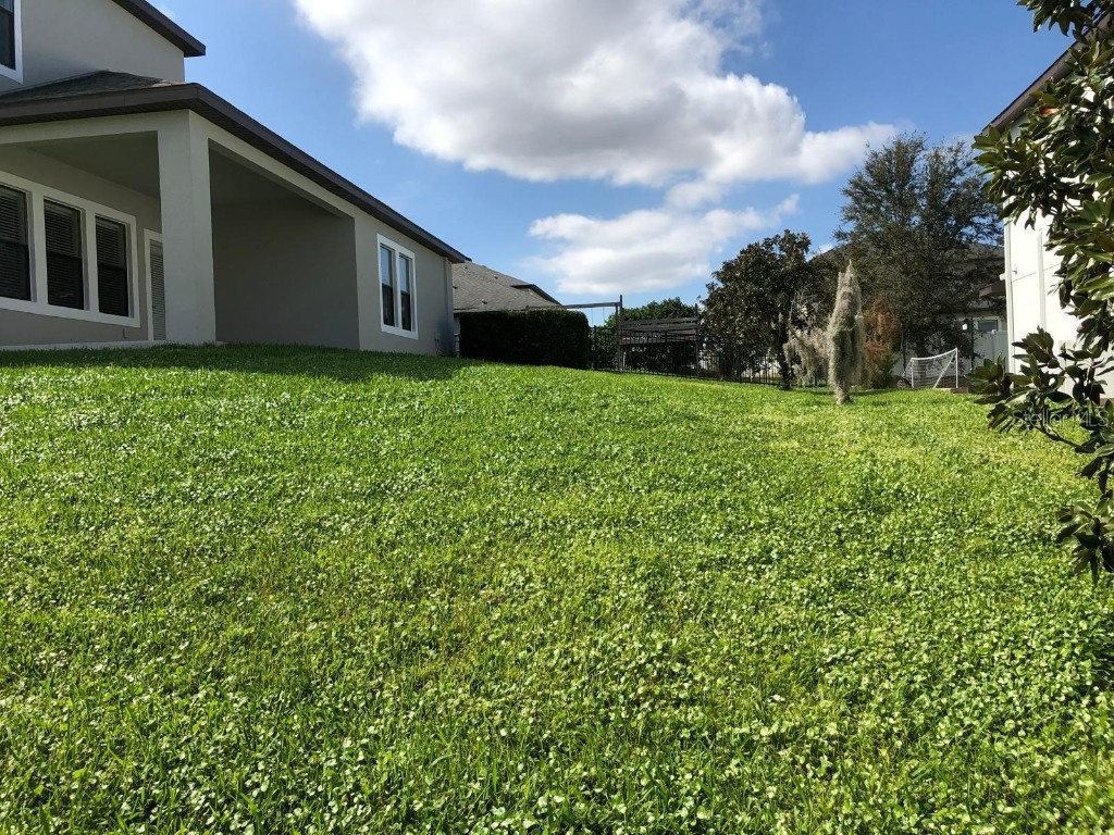 15007 Night Heron Drive Winter Garden FL 34787 S5122837 image7