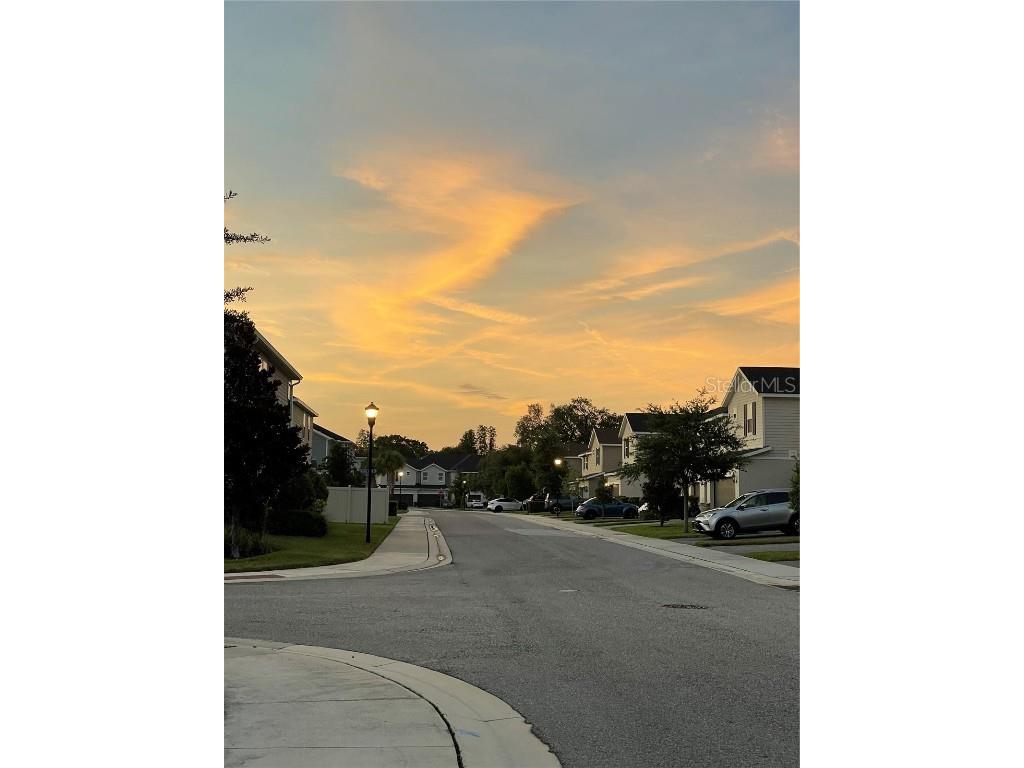 15008 Abby Birch Place Tampa FL 33613 T3464327 image1