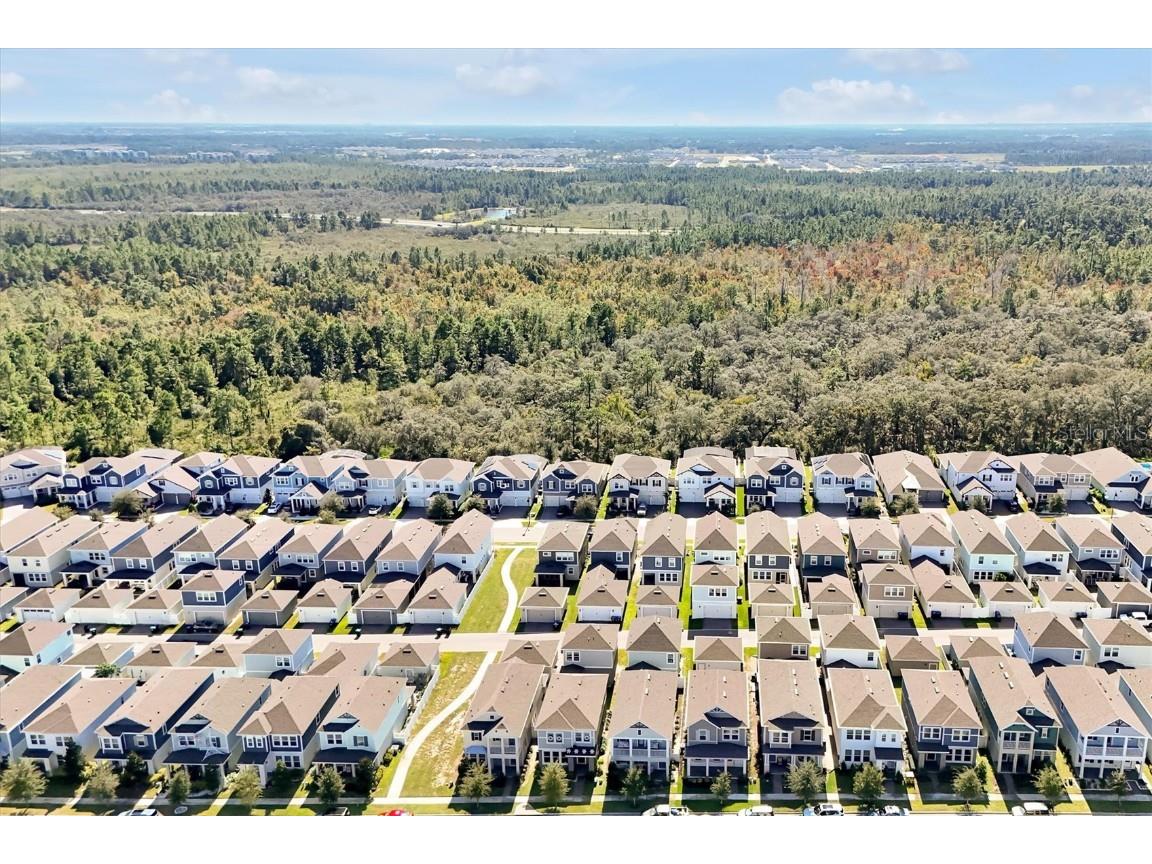 15008 Lebeau Loop Winter Garden FL 34787 O6364976 image46