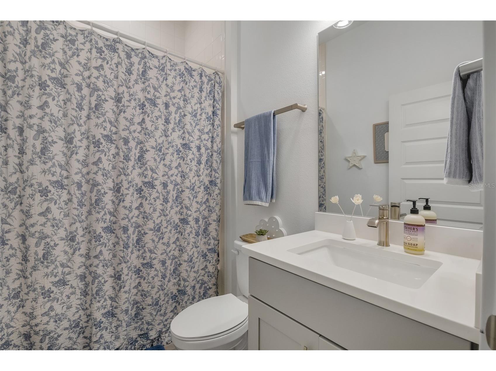 15009 Lebeau Loop Winter Garden FL 34787 O6427810 image28