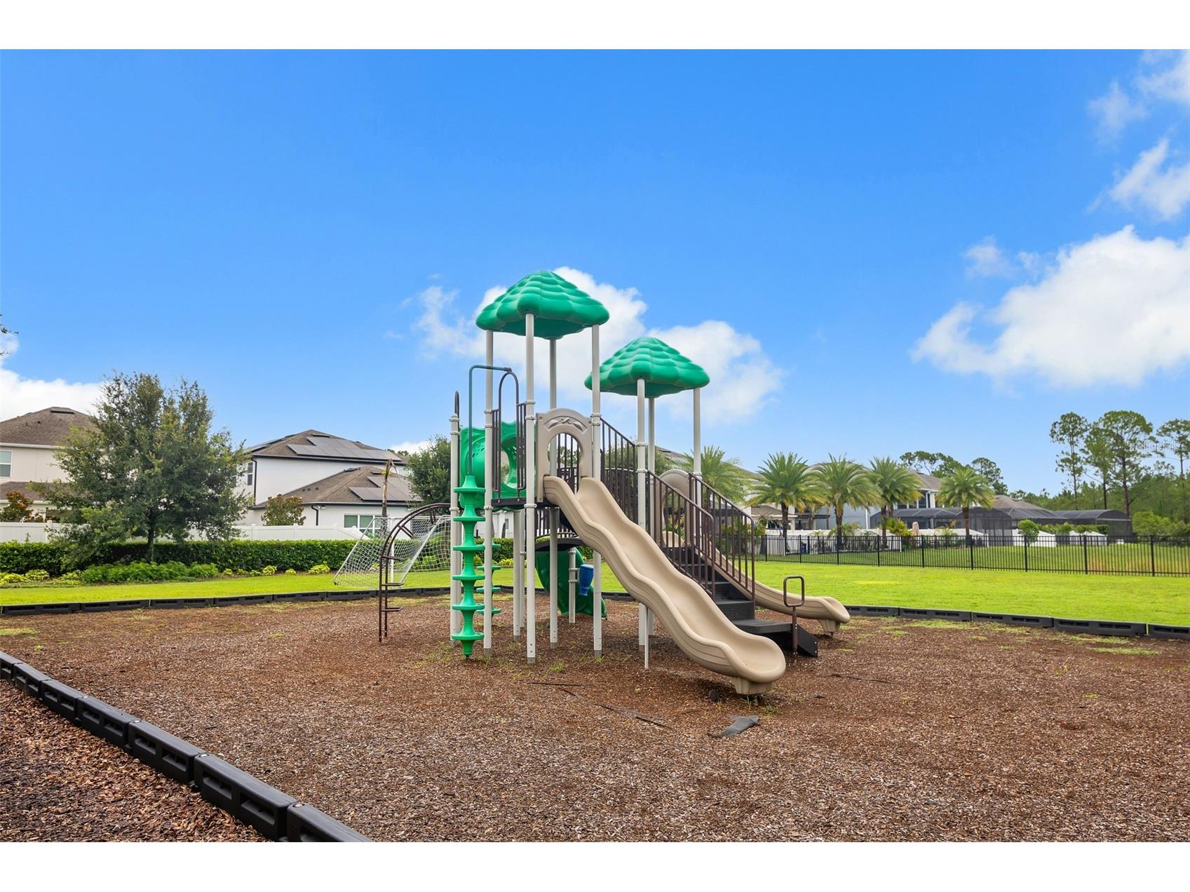 15009 Lebeau Loop Winter Garden FL 34787 O6427810 image39