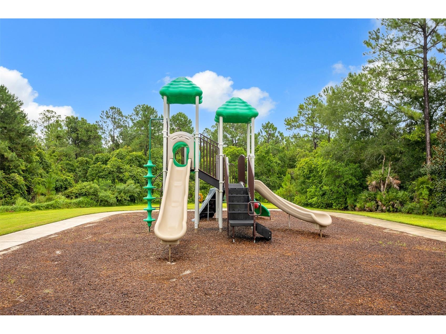 15009 Lebeau Loop Winter Garden FL 34787 O6427810 image40