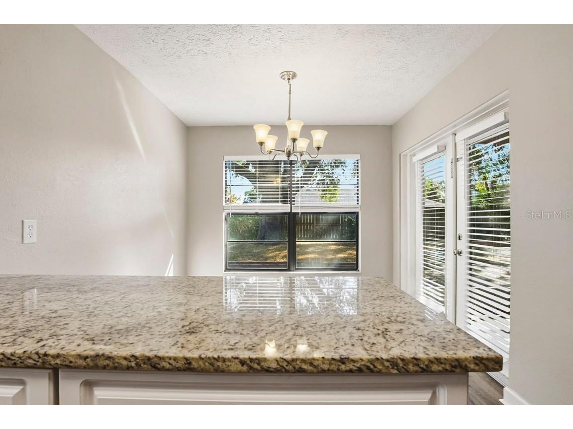 15009 Naples Place Tampa FL 33624 O6359513 image21