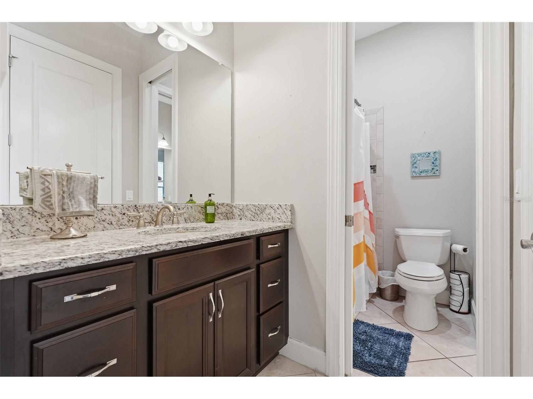 1501 Amarone Place Lutz FL 33548 TB8486456 image41