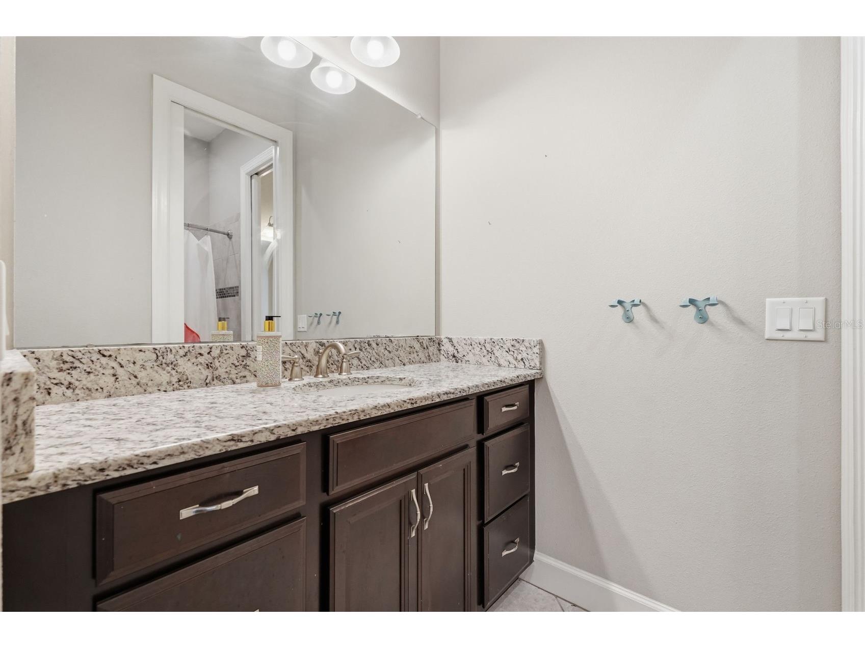 1501 Amarone Place Lutz FL 33548 TB8486456 image45