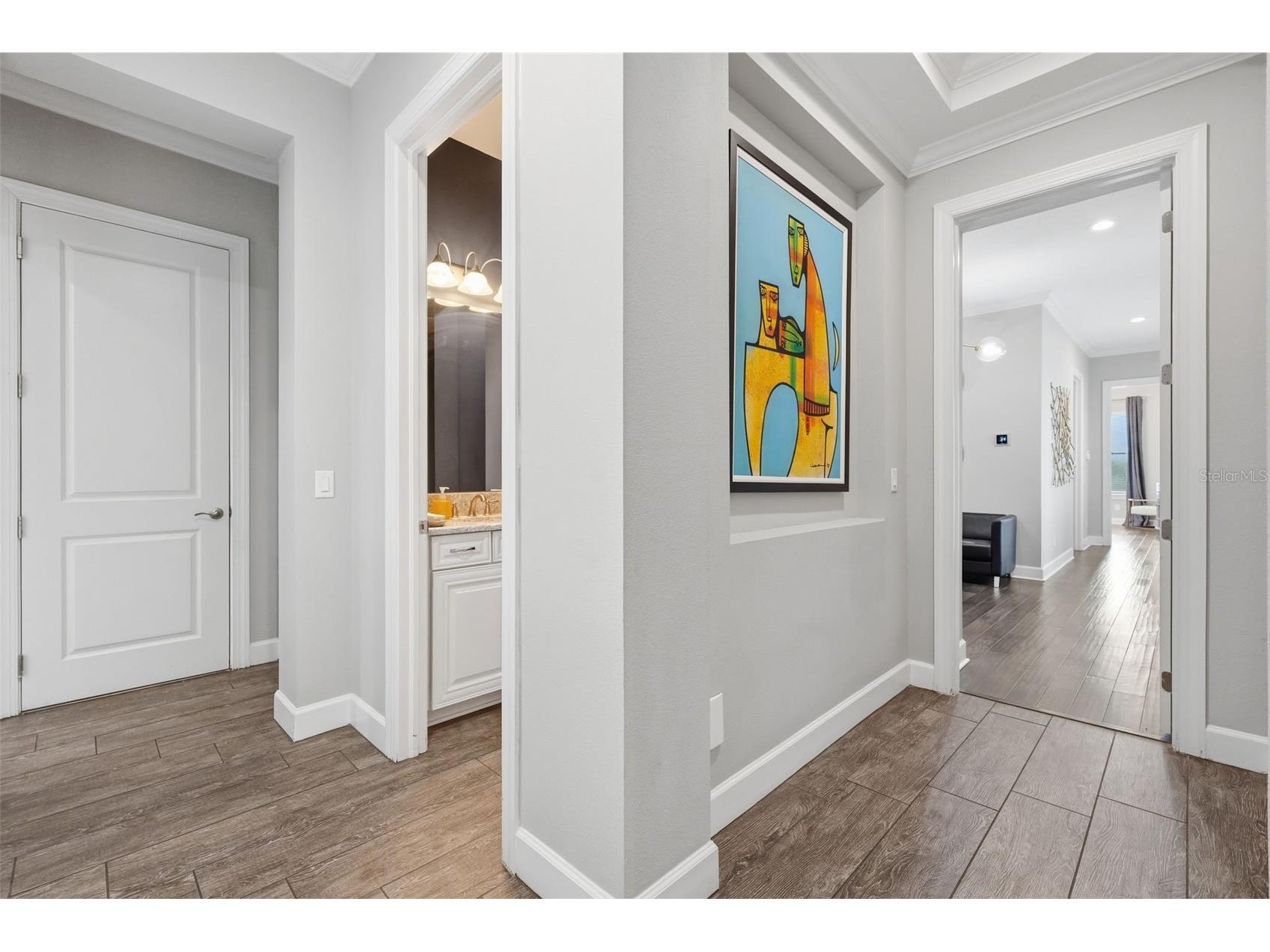 1501 Amarone Place Lutz FL 33548 TB8486456 image46