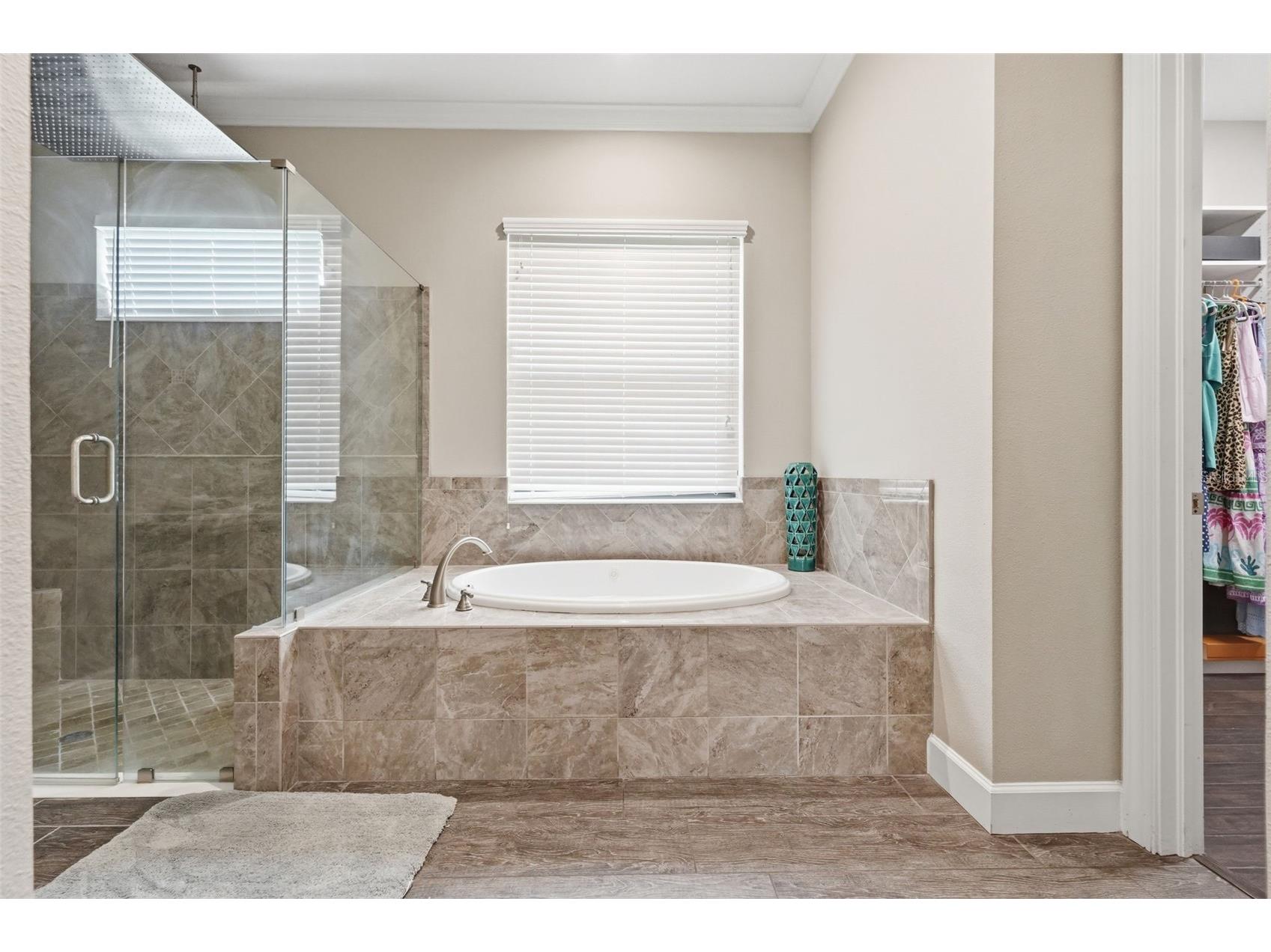 1501 Amarone Place Lutz FL 33548 TB8486456 image50