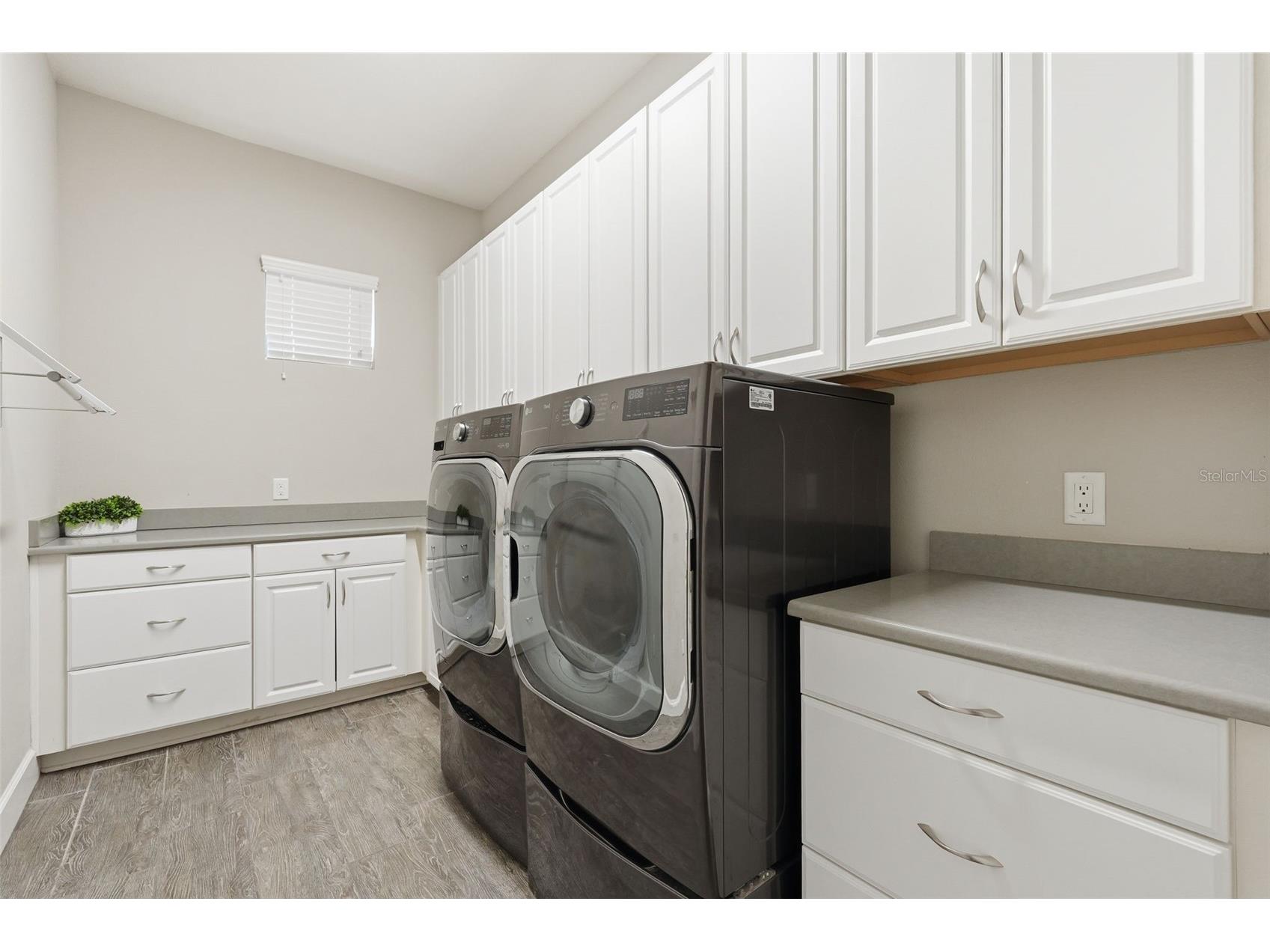 1501 Amarone Place Lutz FL 33548 TB8486456 image58