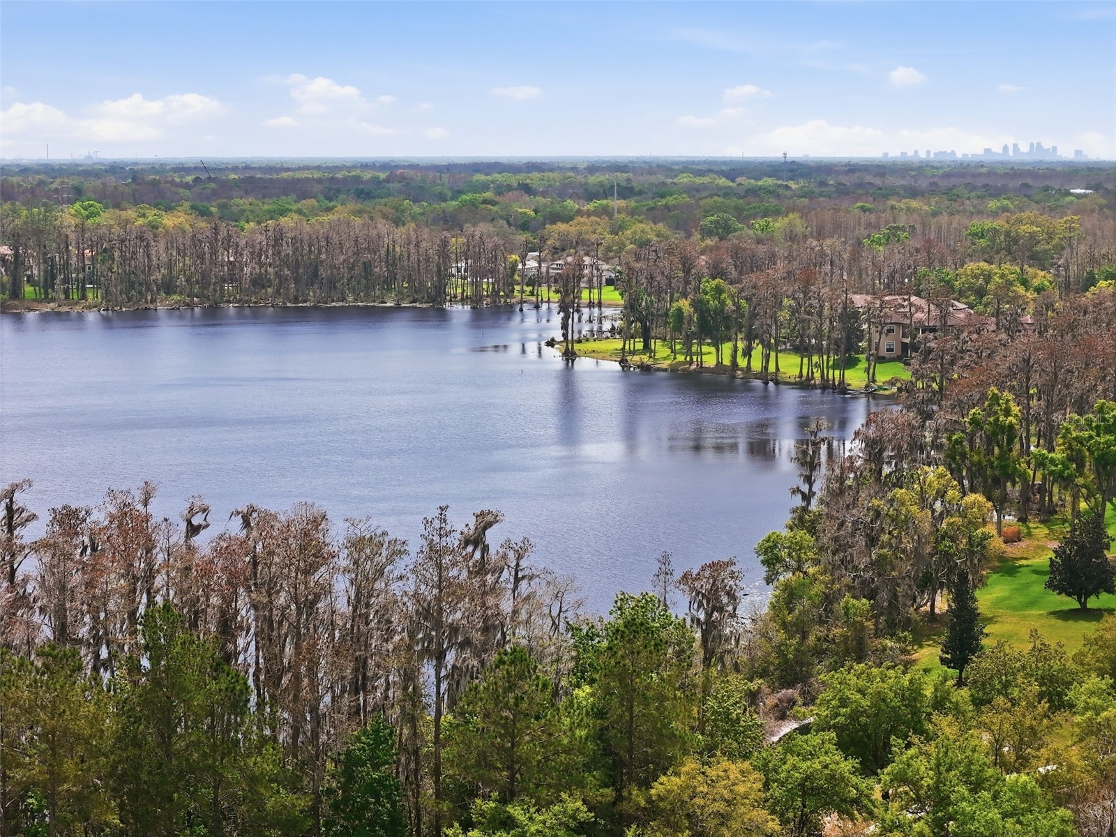 1501 Amarone Place Lutz FL 33548 TB8486456 image6