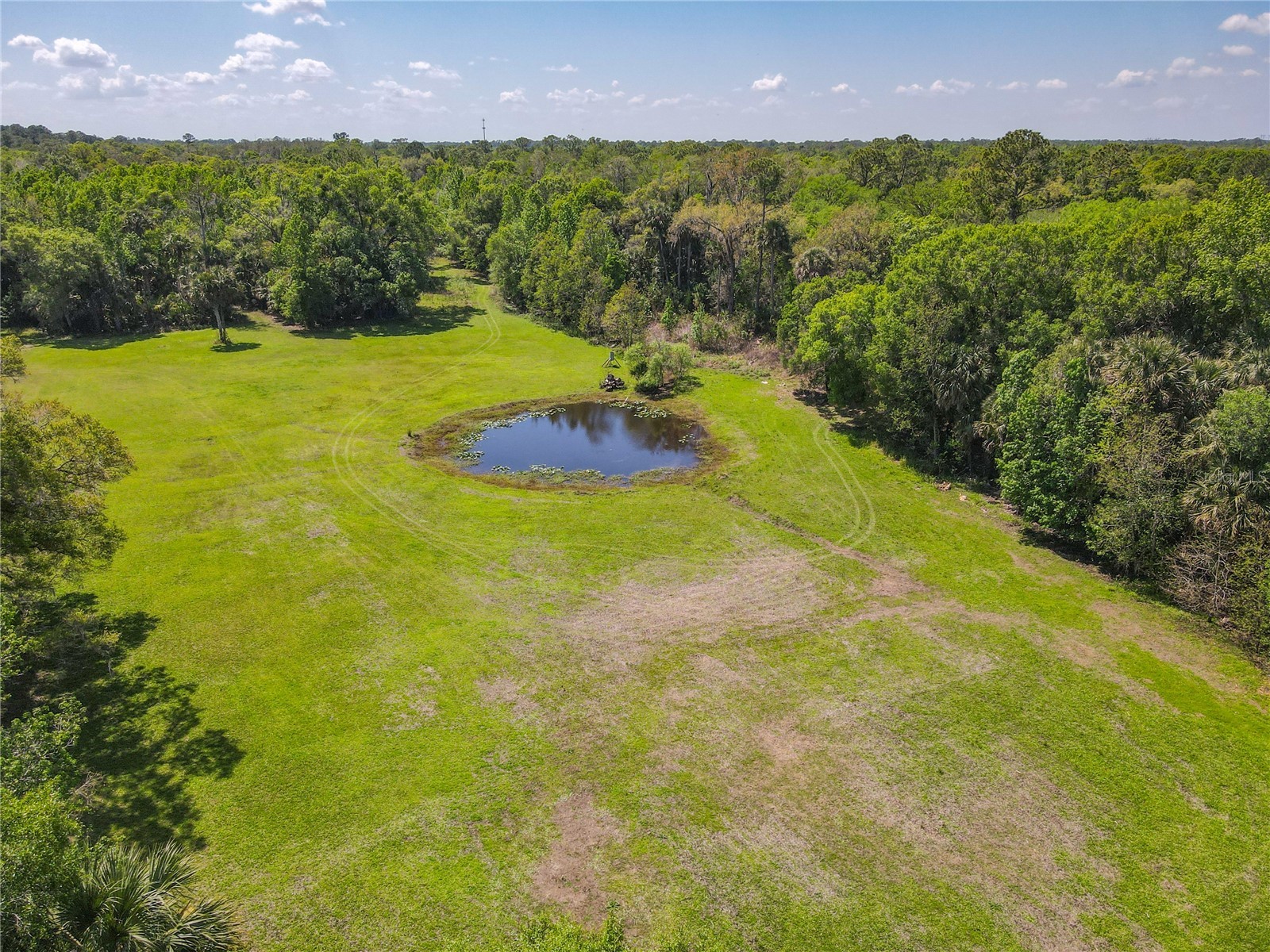 1501 Ashby Creek Road Osteen FL 32764 V4948163 image39