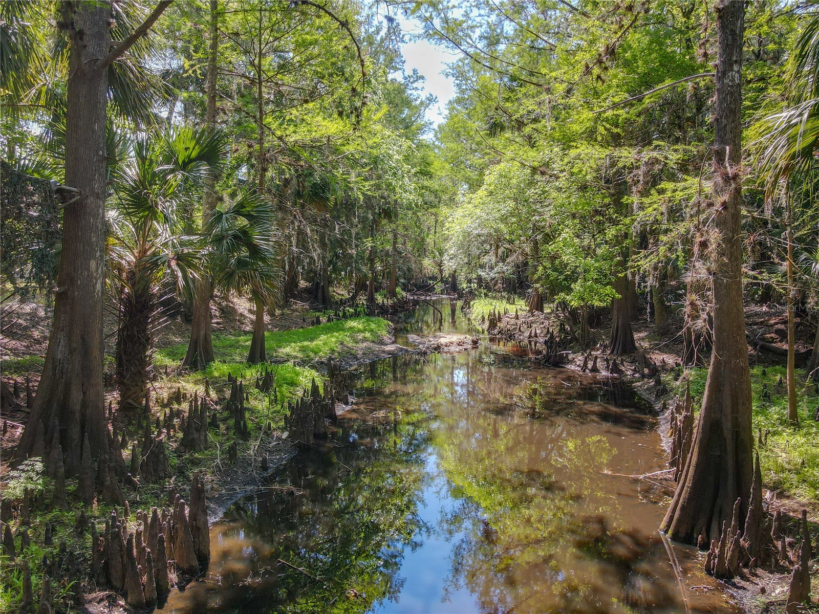 1501 Ashby Creek Road Osteen FL 32764 V4948163 image4