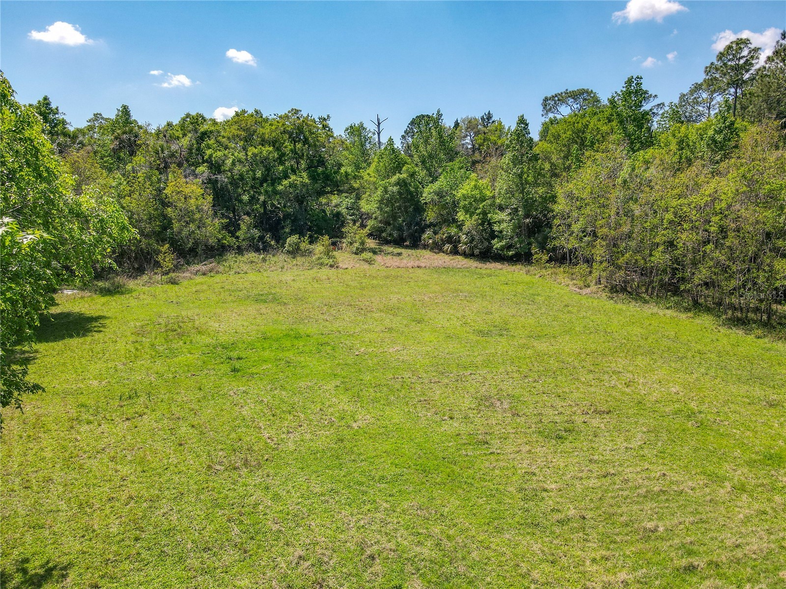 1501 Ashby Creek Road Osteen FL 32764 V4948163 image40