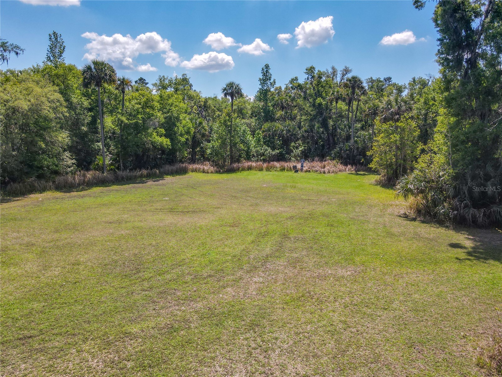 1501 Ashby Creek Road Osteen FL 32764 V4948163 image43