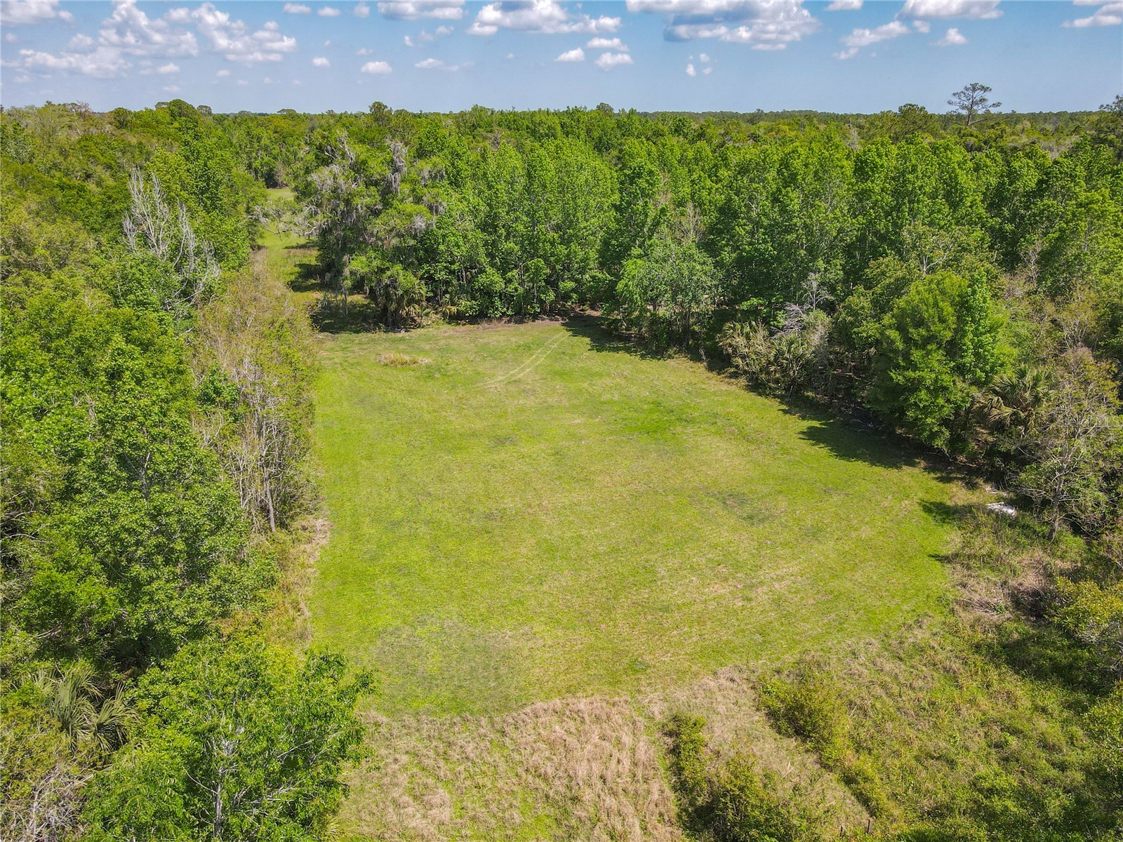 1501 Ashby Creek Road Osteen FL 32764 V4948163 image44