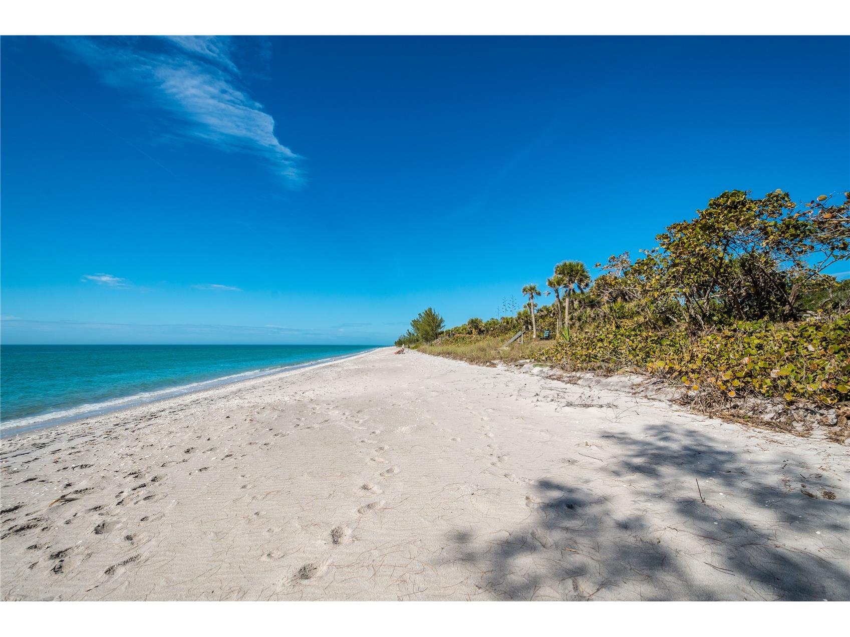 1501 Beach Road #210 Englewood FL 34223 - LEMON BAY D6146968 image55
