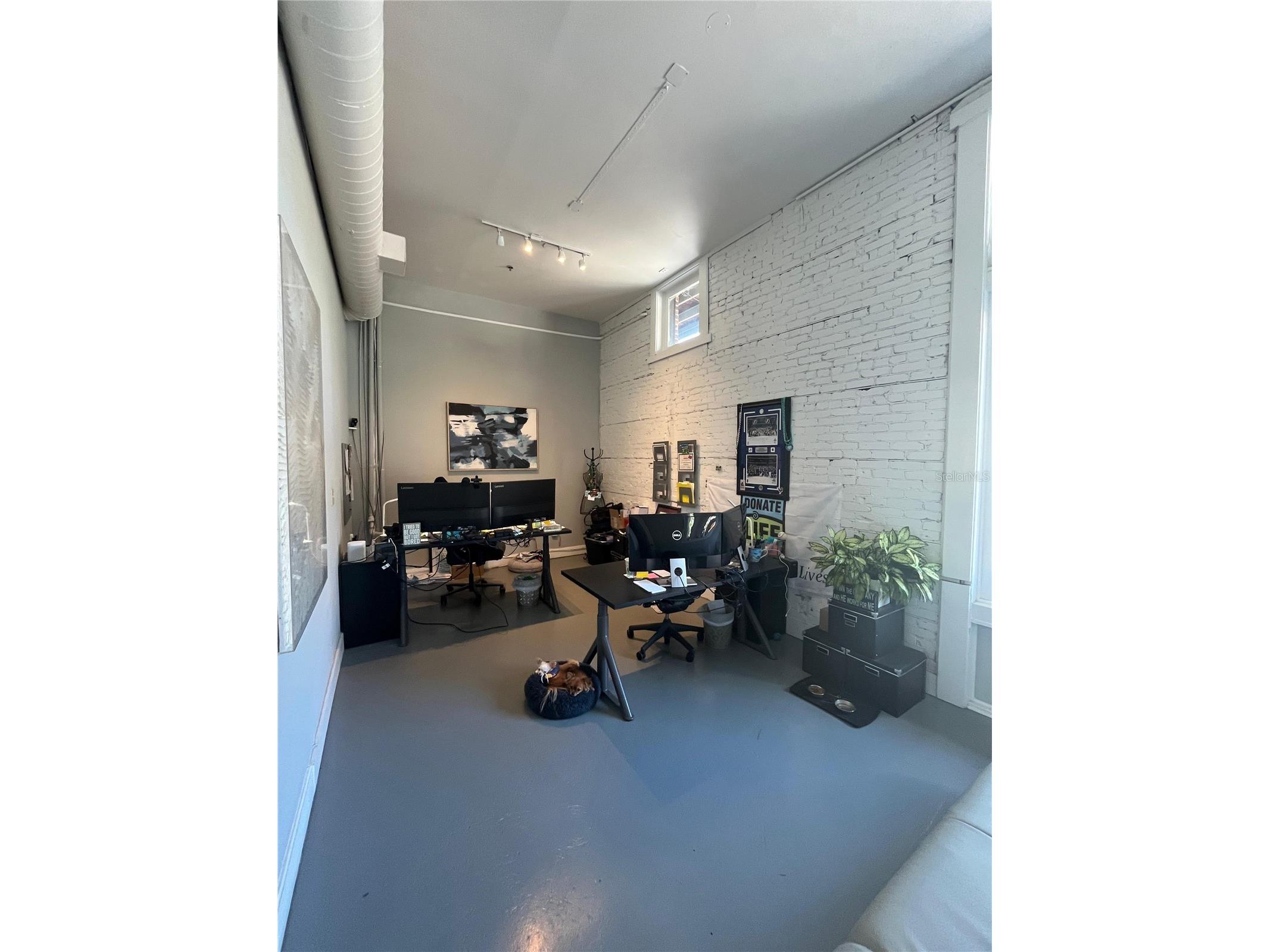 1501 E 9th Avenue #A Tampa FL 33605 TB8439241 image11