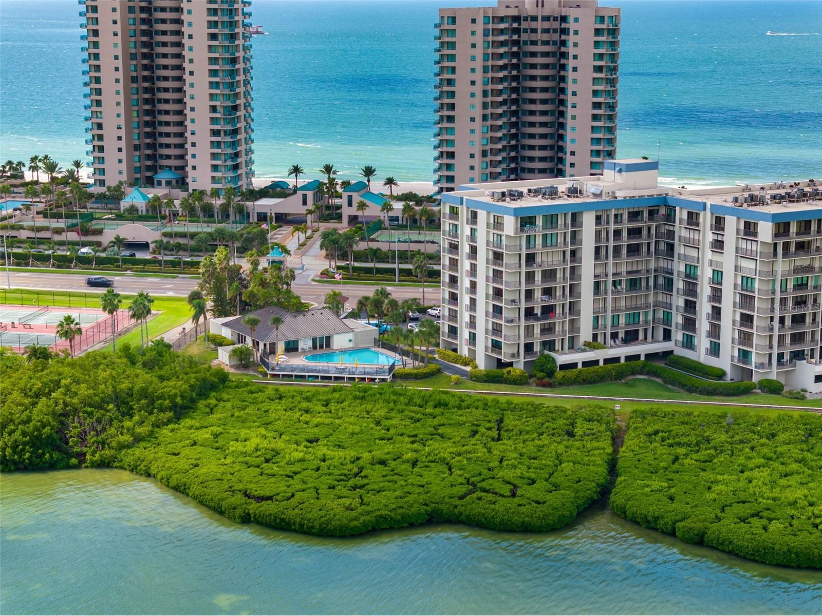 1501 Gulf Boulevard #102 Clearwater Beach FL 33767 TB8497107 image46