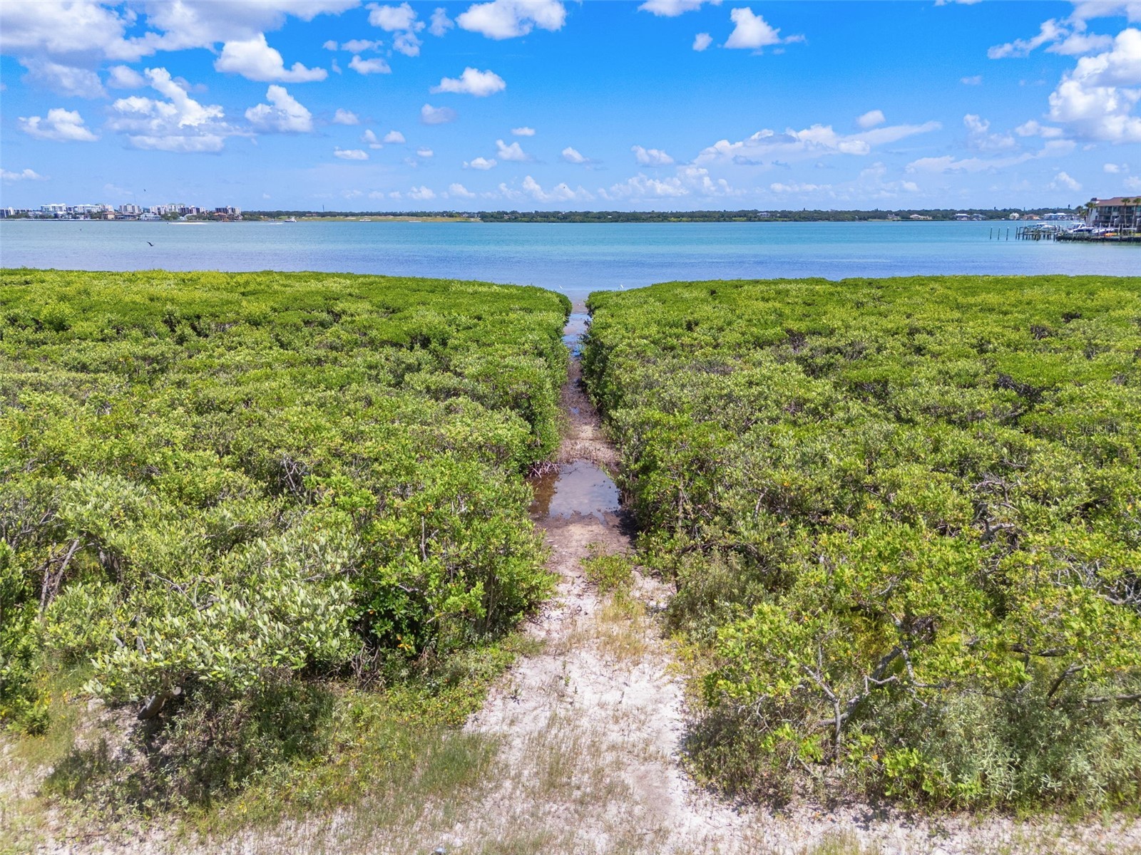 1501 Gulf Boulevard #205 Clearwater Beach FL 33767 - INTRACOASTAL WATERWAY TB8470178 image28