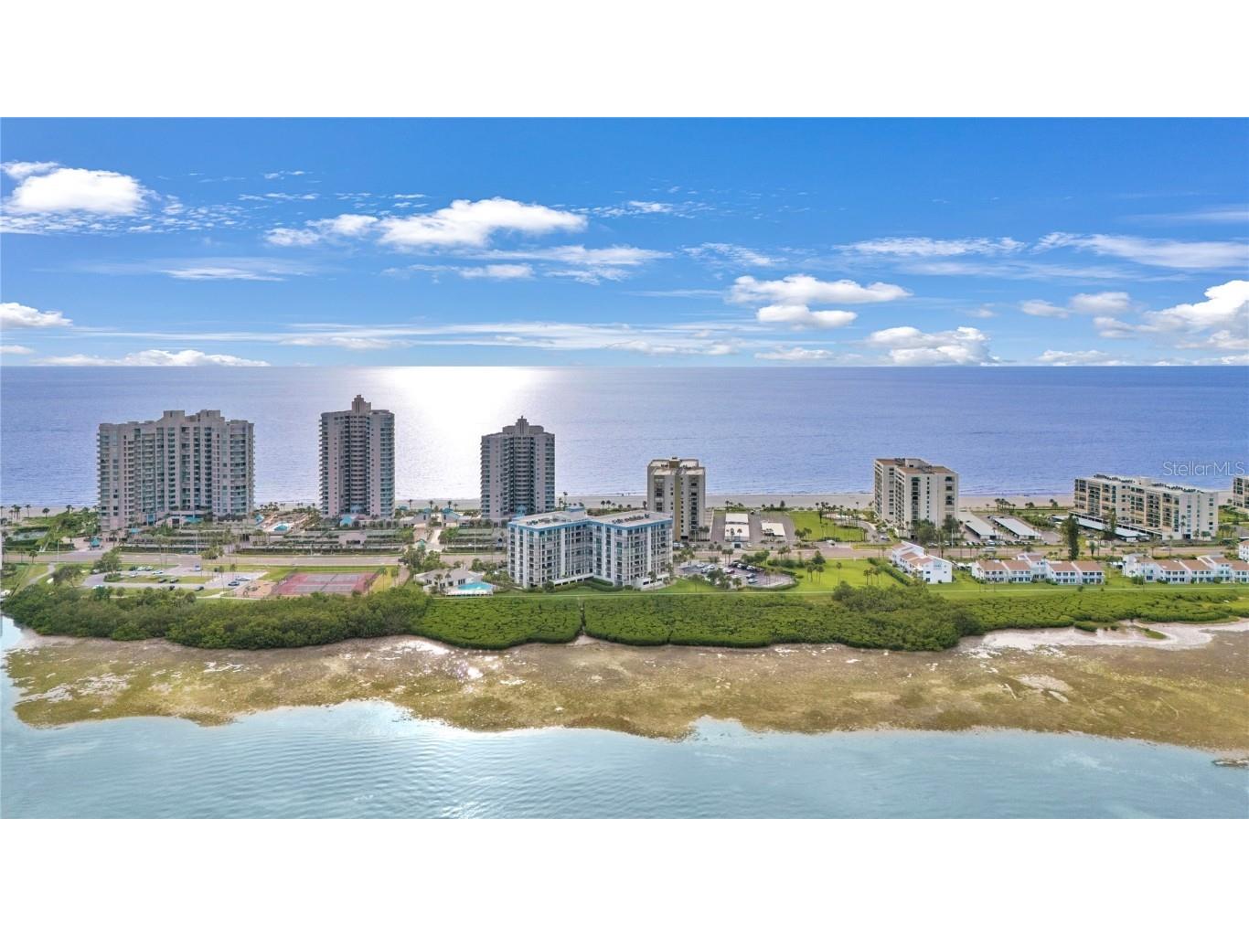1501 Gulf Boulevard #305 Clearwater Beach FL 33767 TB8424666 image34
