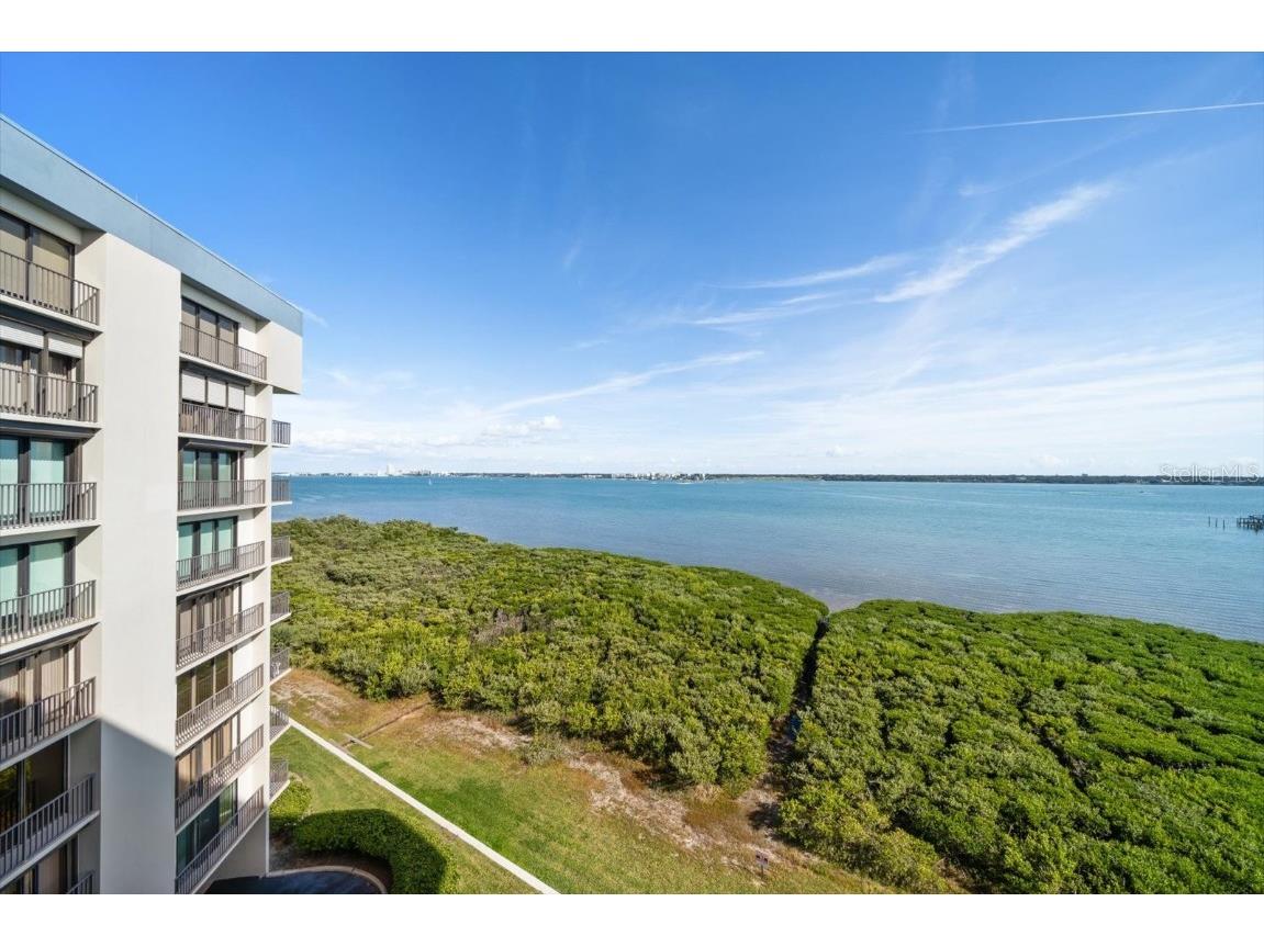 1501 Gulf Boulevard #604 Clearwater Beach FL 33767 - CLEARWATER HARBOR TB8453710 image5