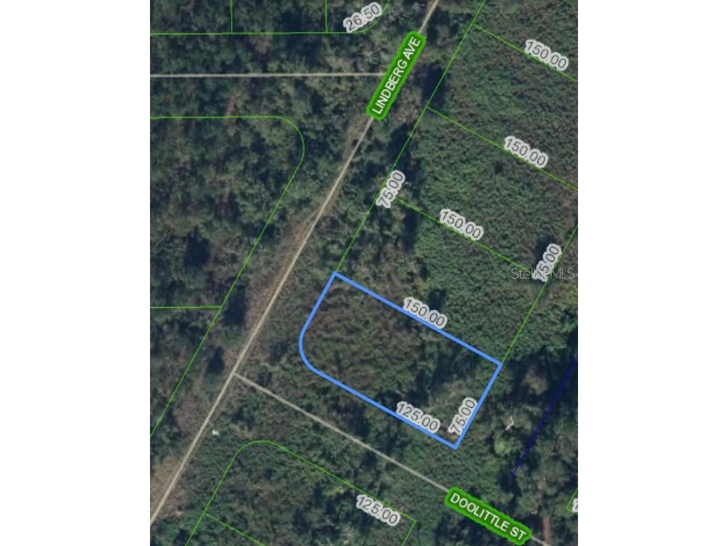 1501 Lindberg Avenue Lake Placid FL 33852 O6289941 image1